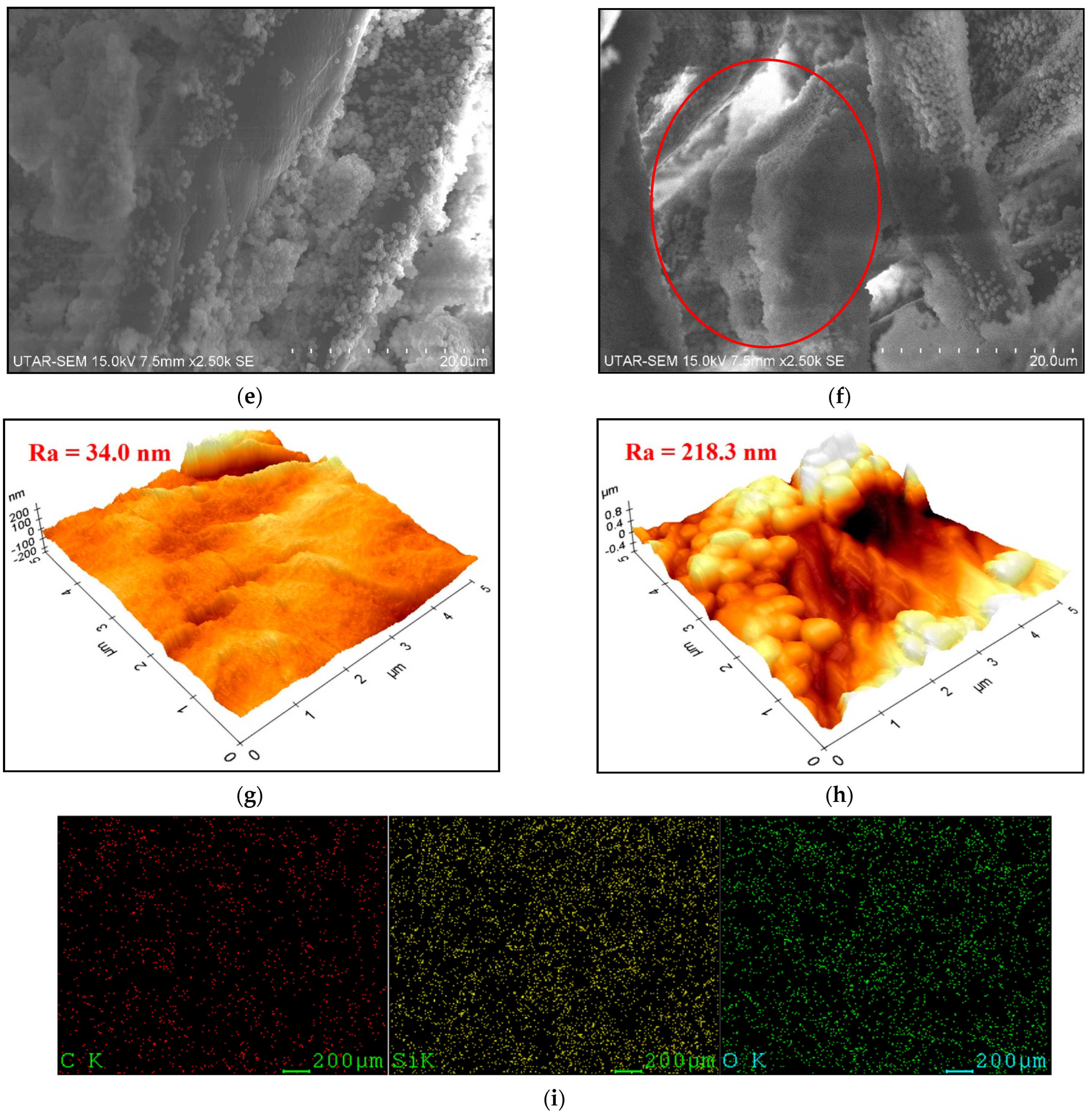 Membranes 13 00793 g002b
