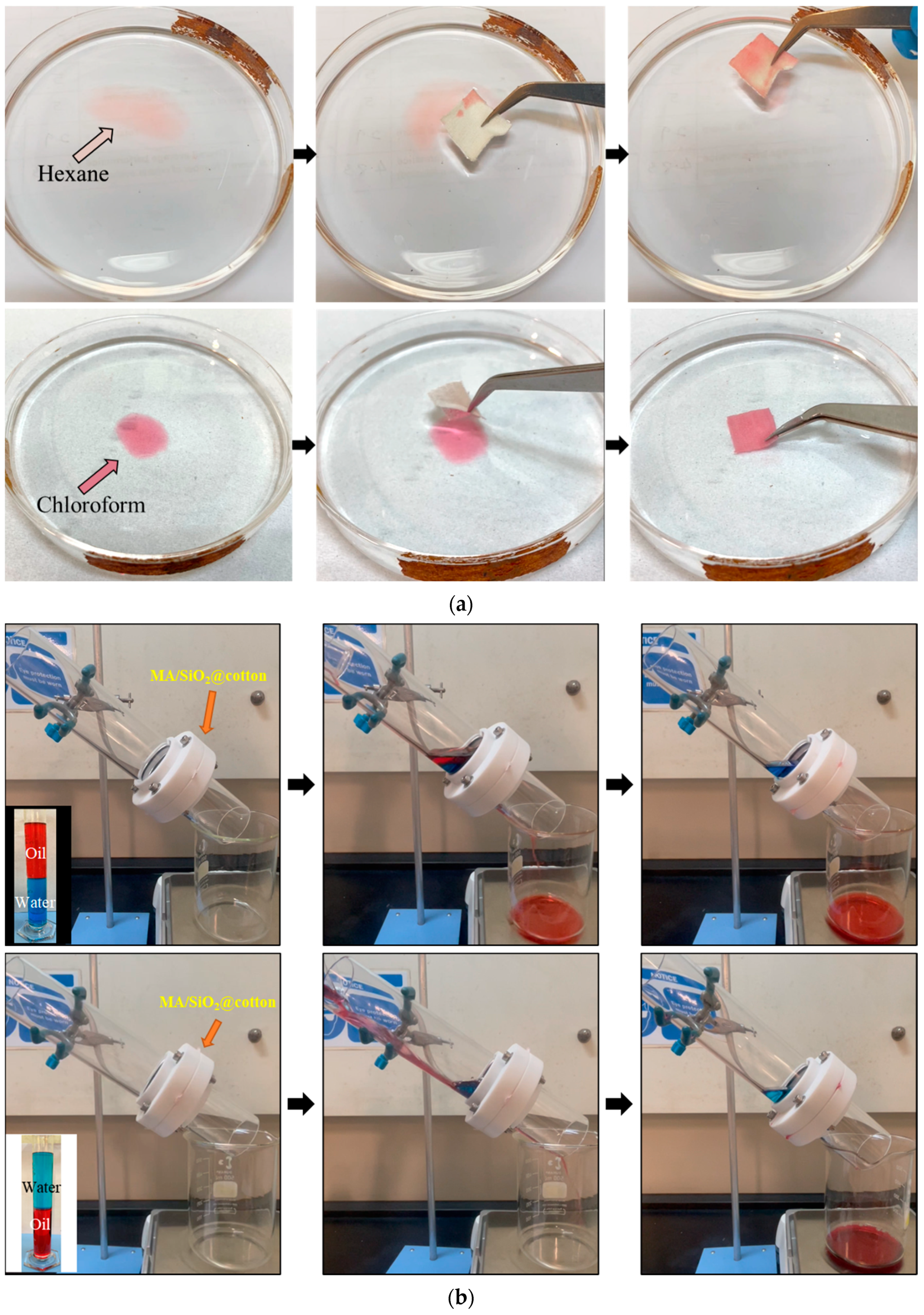Membranes 13 00793 g007a