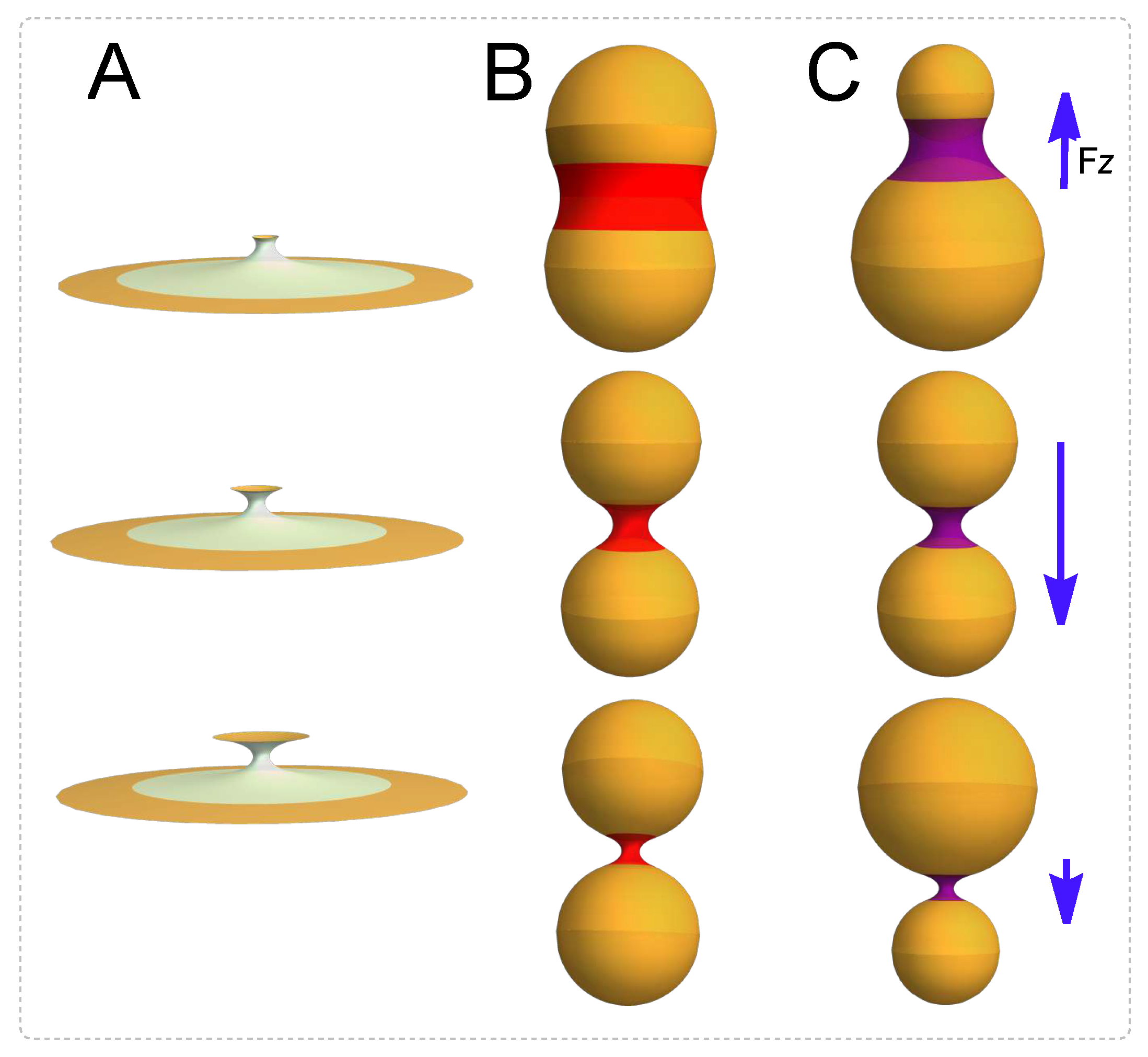Membranes 13 00796 g001 Membranes 13 00796 g001