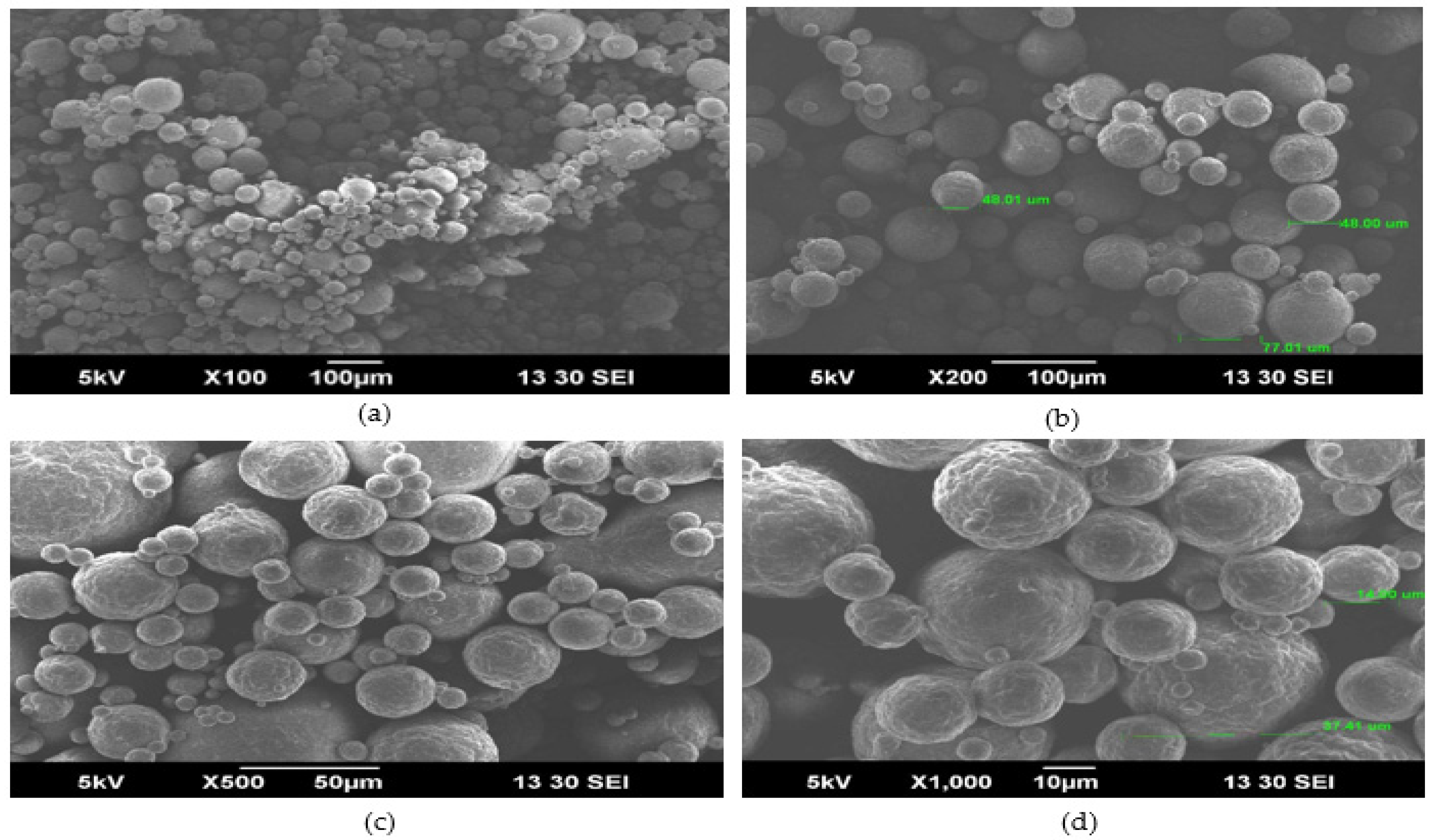 Membranes 13 00799 g005