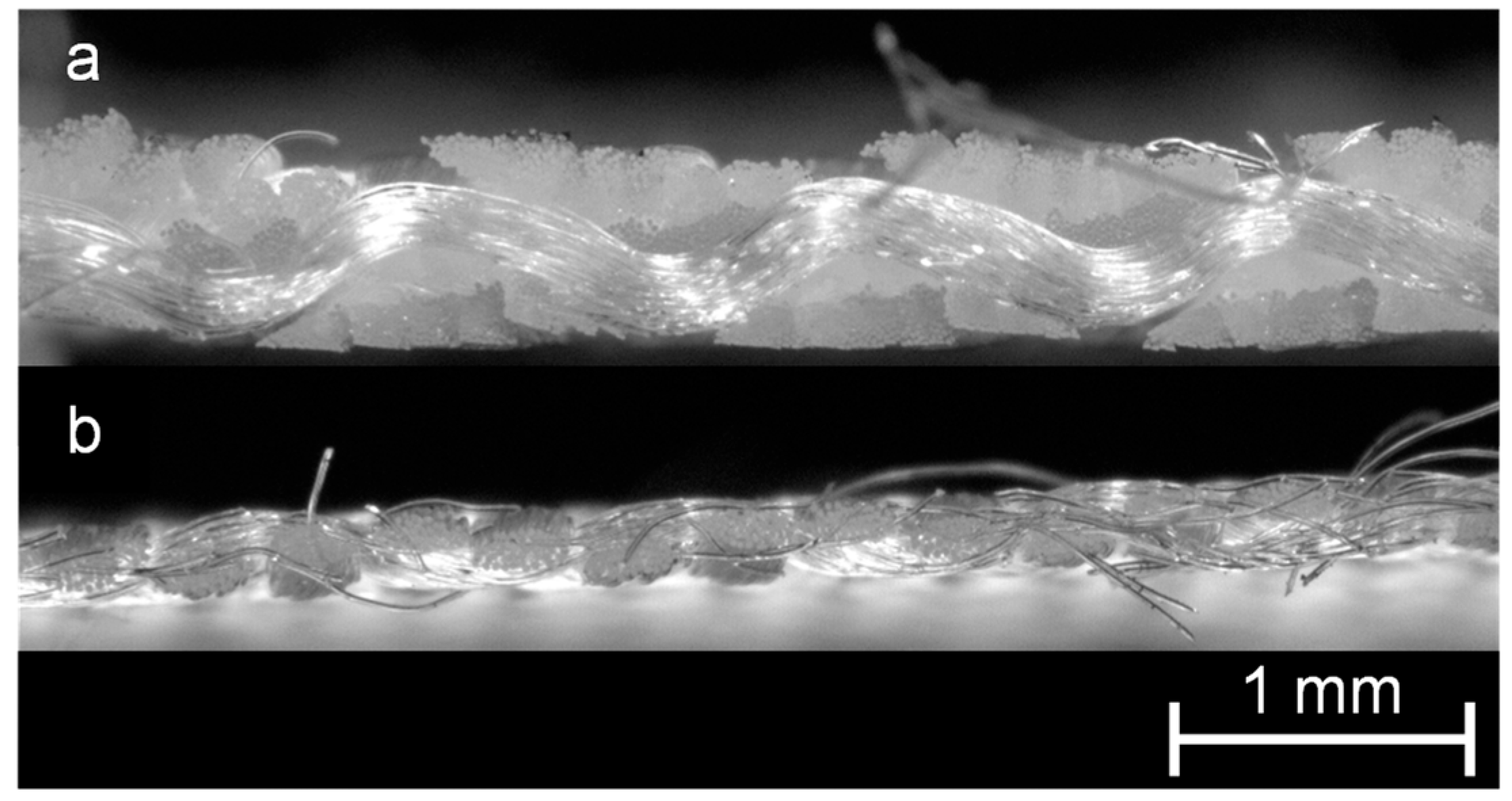 Membranes 13 00801 g002