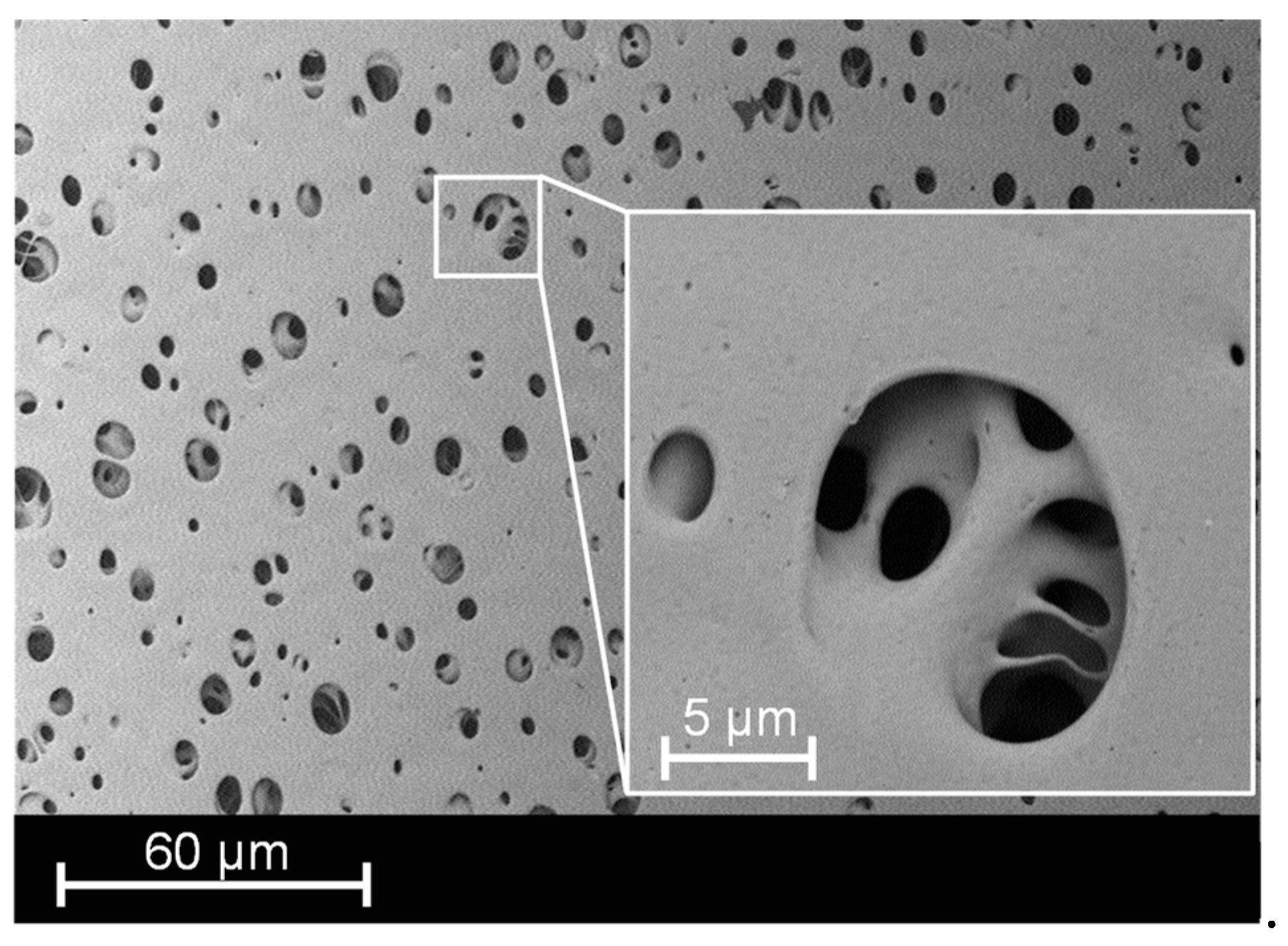 Membranes 13 00801 g003