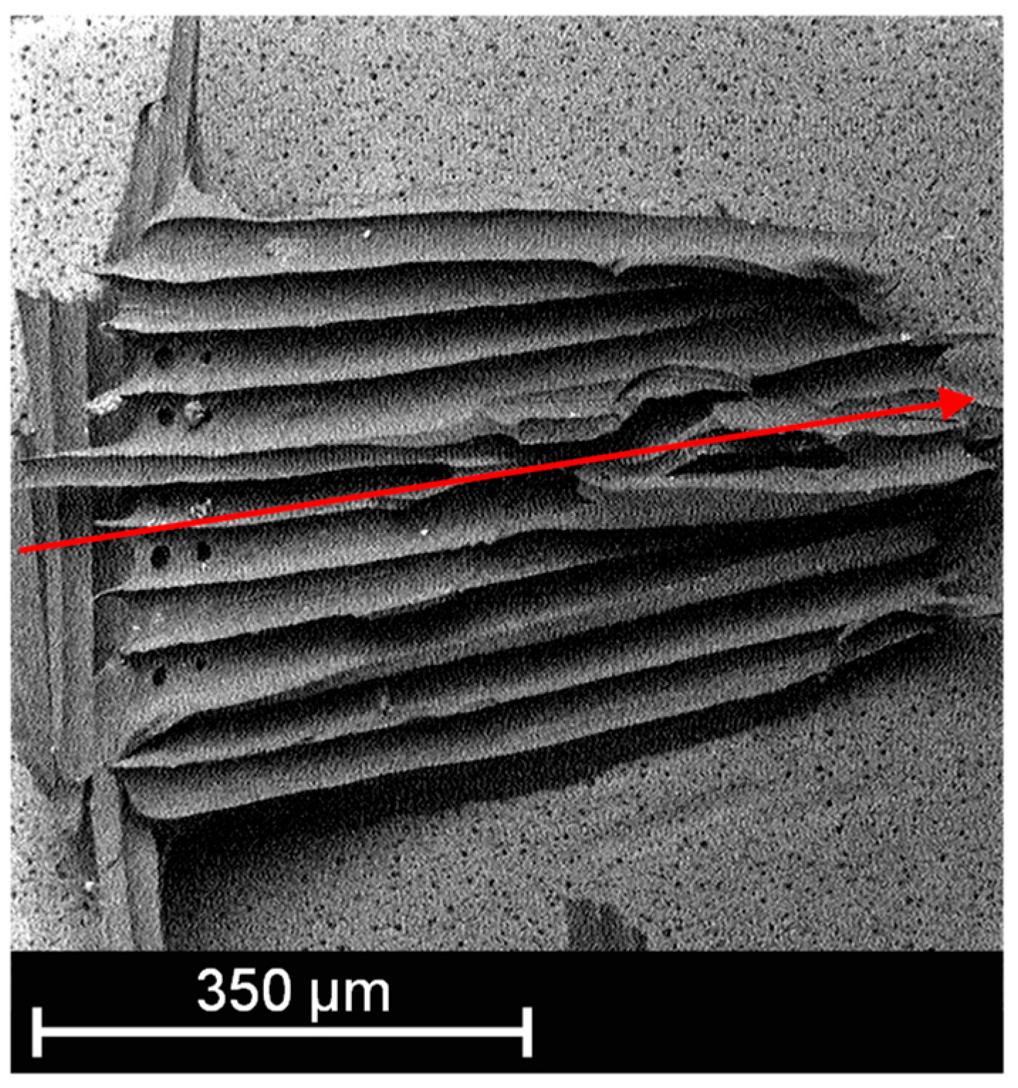 Membranes 13 00801 g009