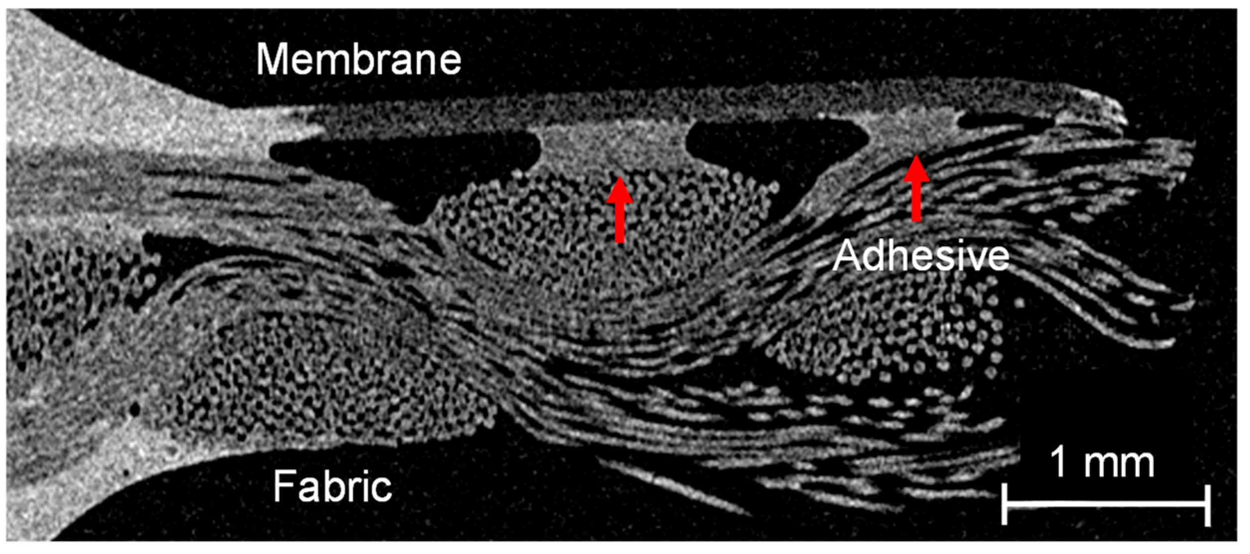 Membranes 13 00801 g011