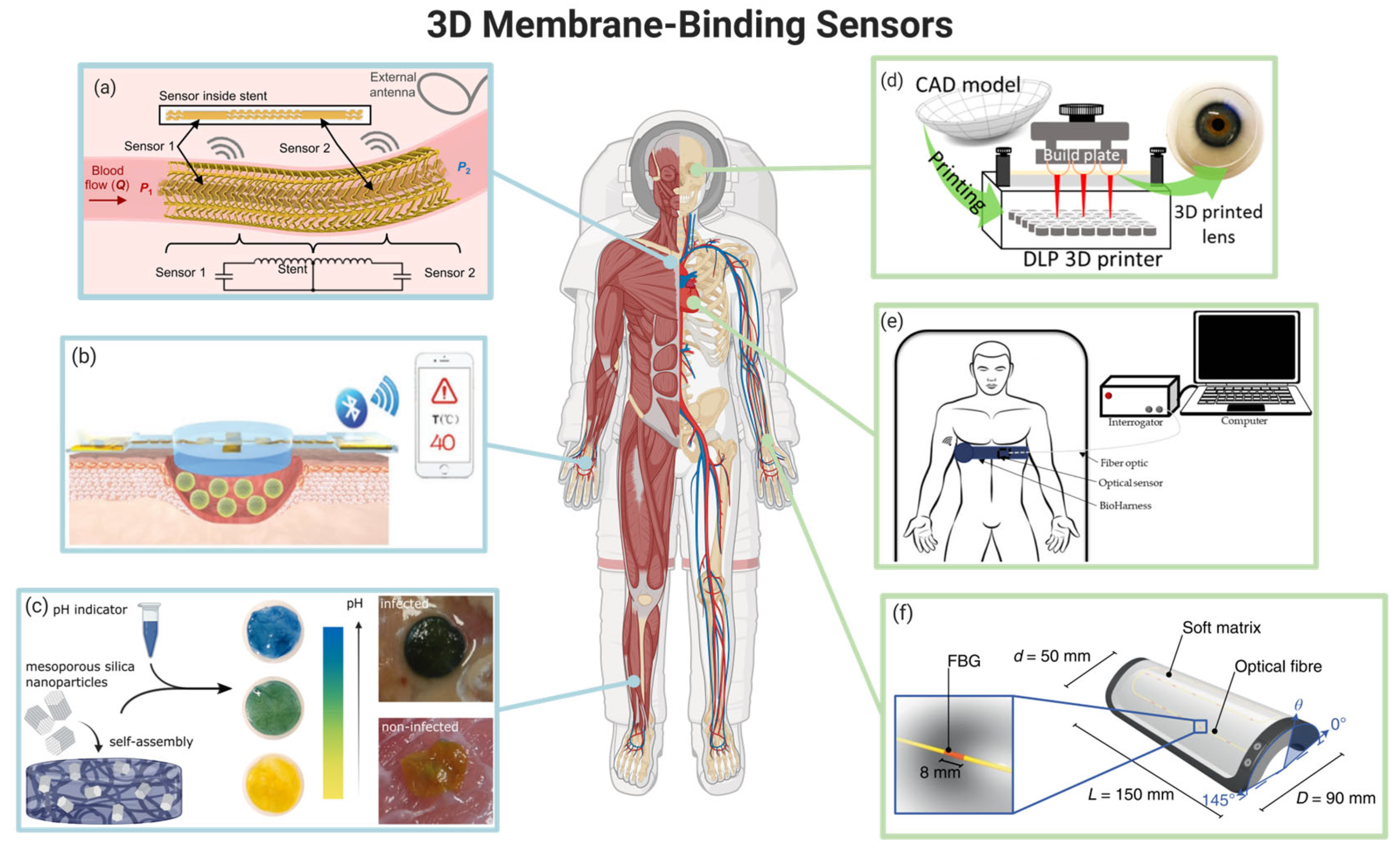 Membranes 13 00802 g004