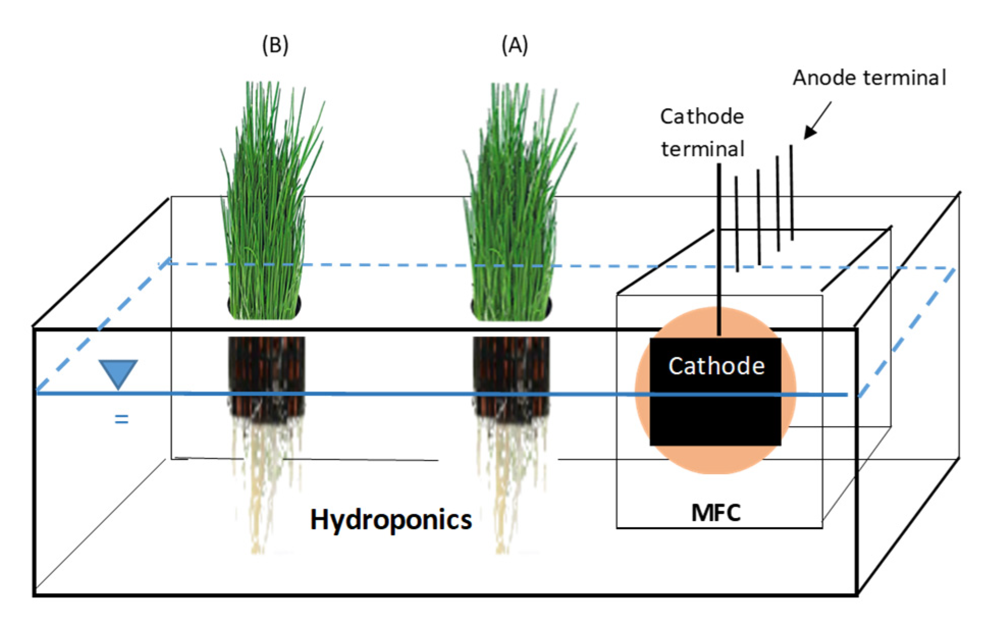 Membranes 13 00803 g002