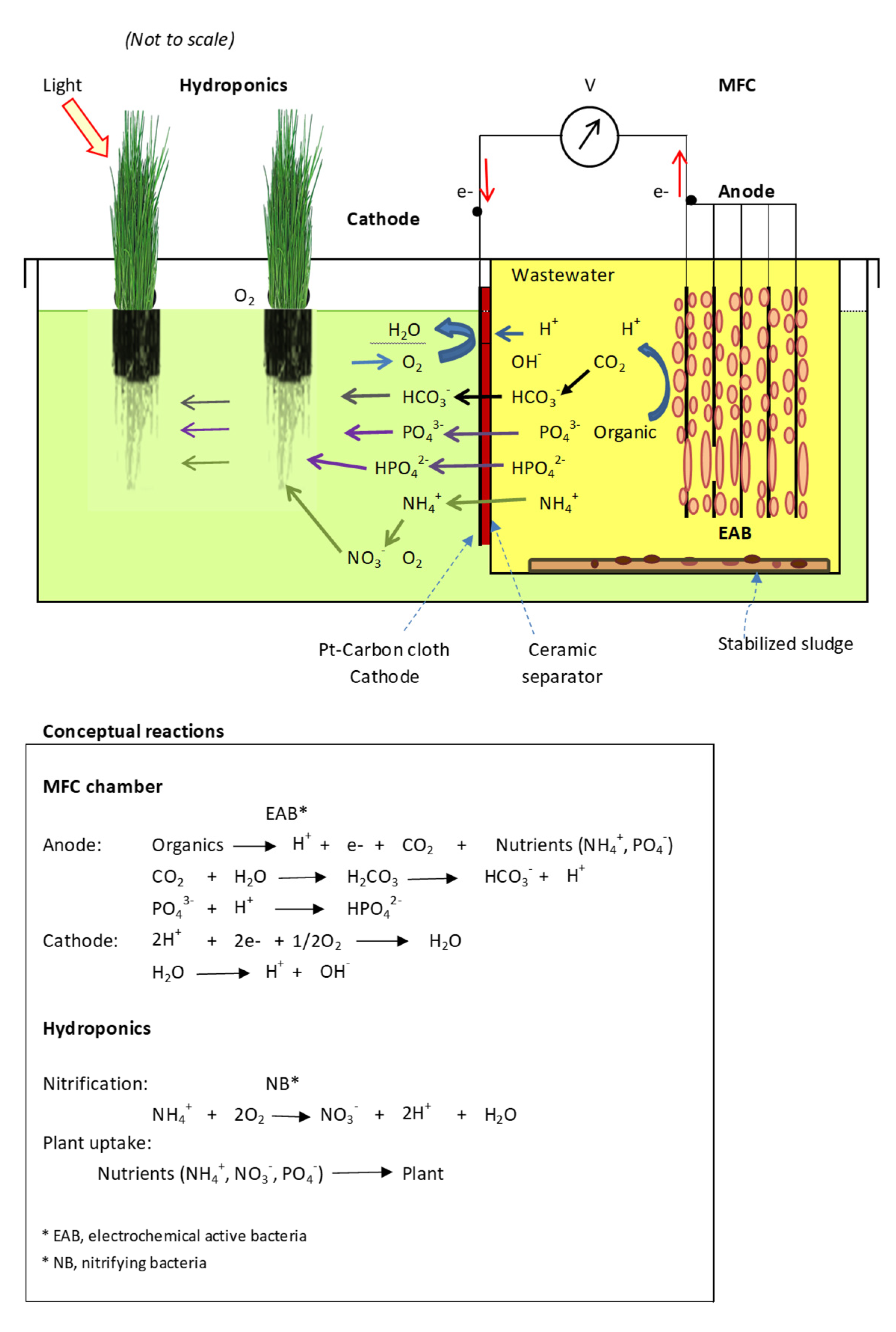 Membranes 13 00803 g0a1