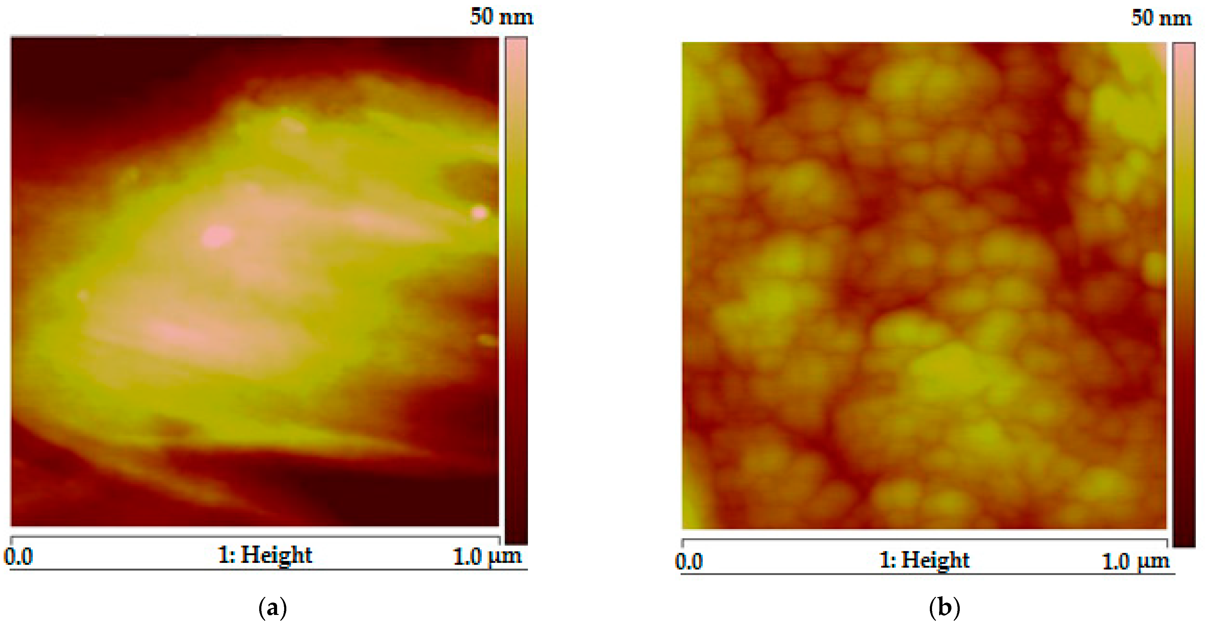 Membranes 13 00805 g003