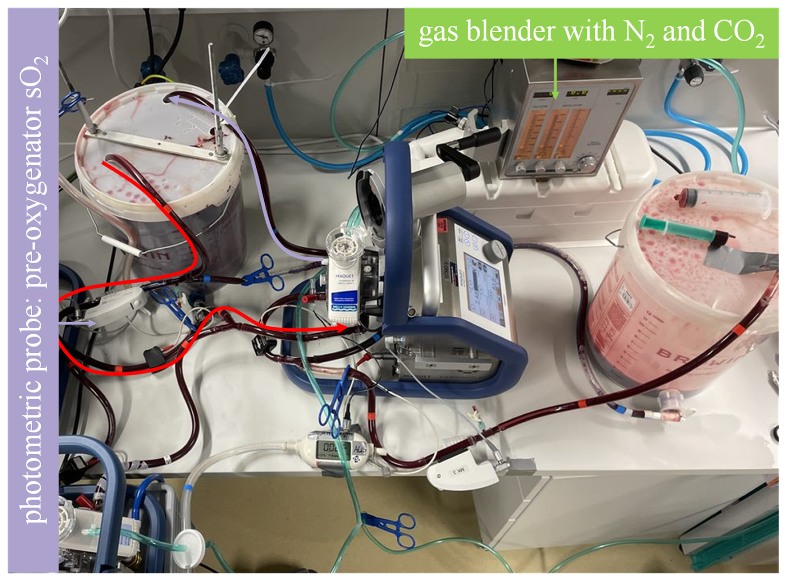 Membranes 13 00809 g002