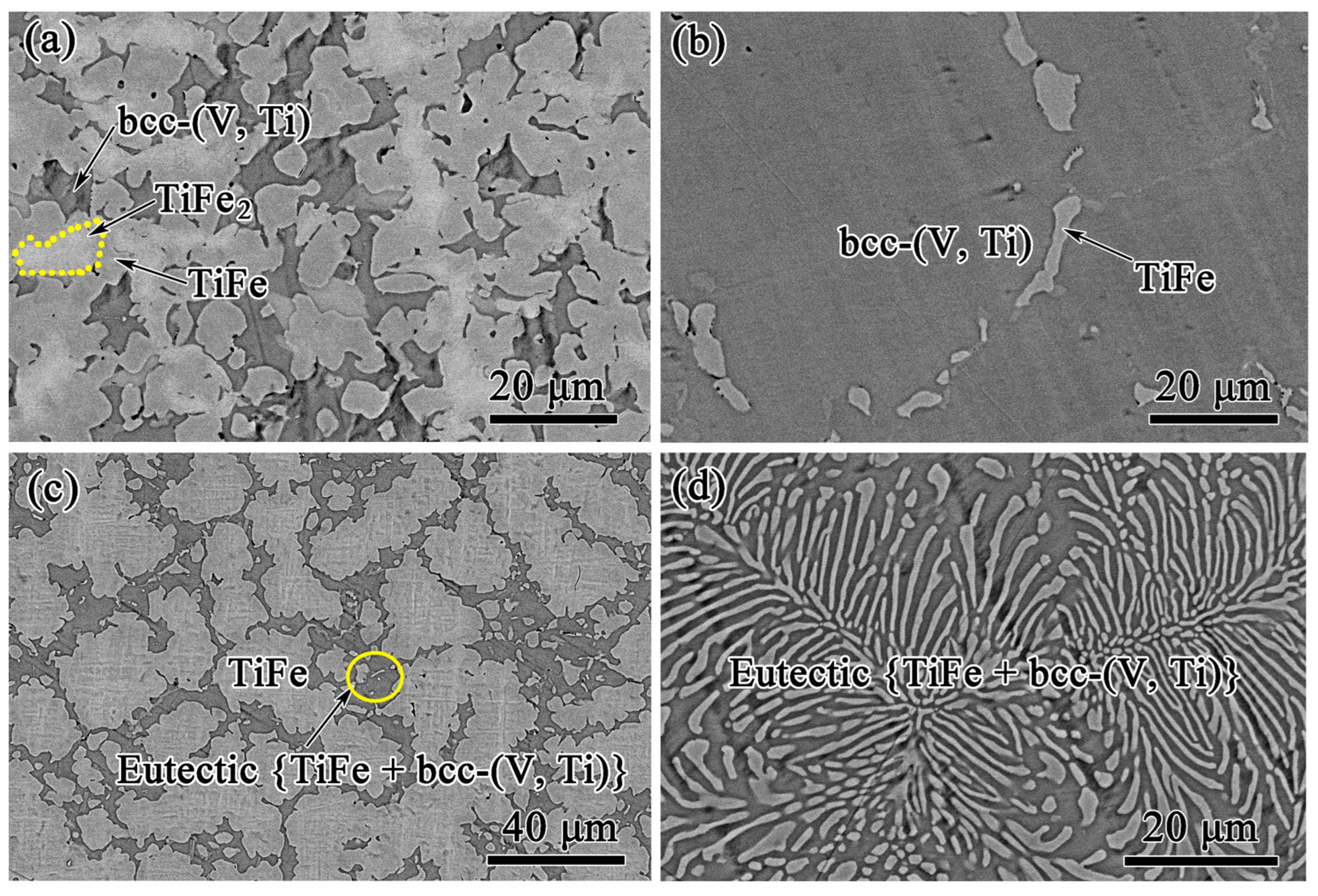 Membranes 13 00813 g004