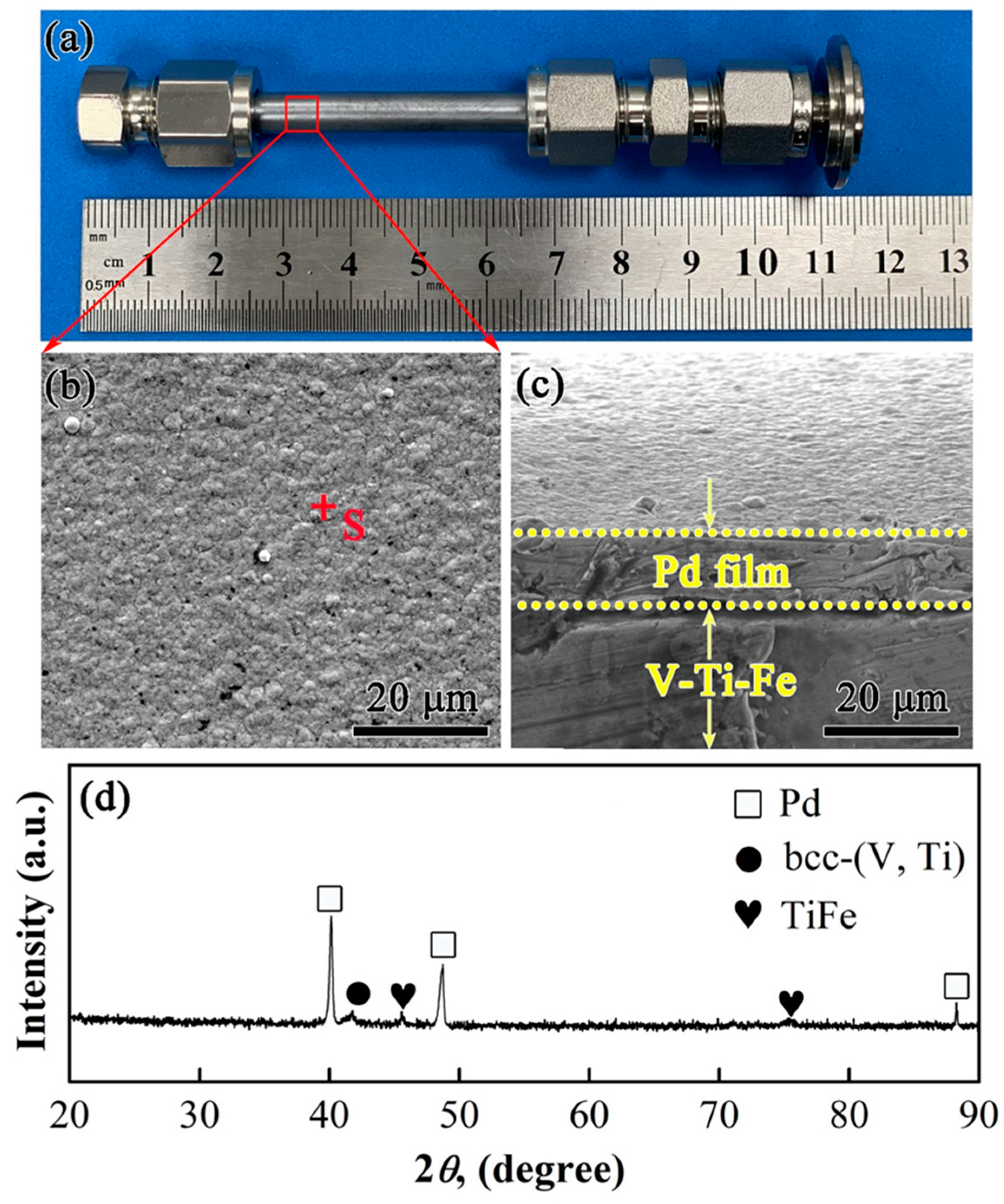 Membranes 13 00813 g010