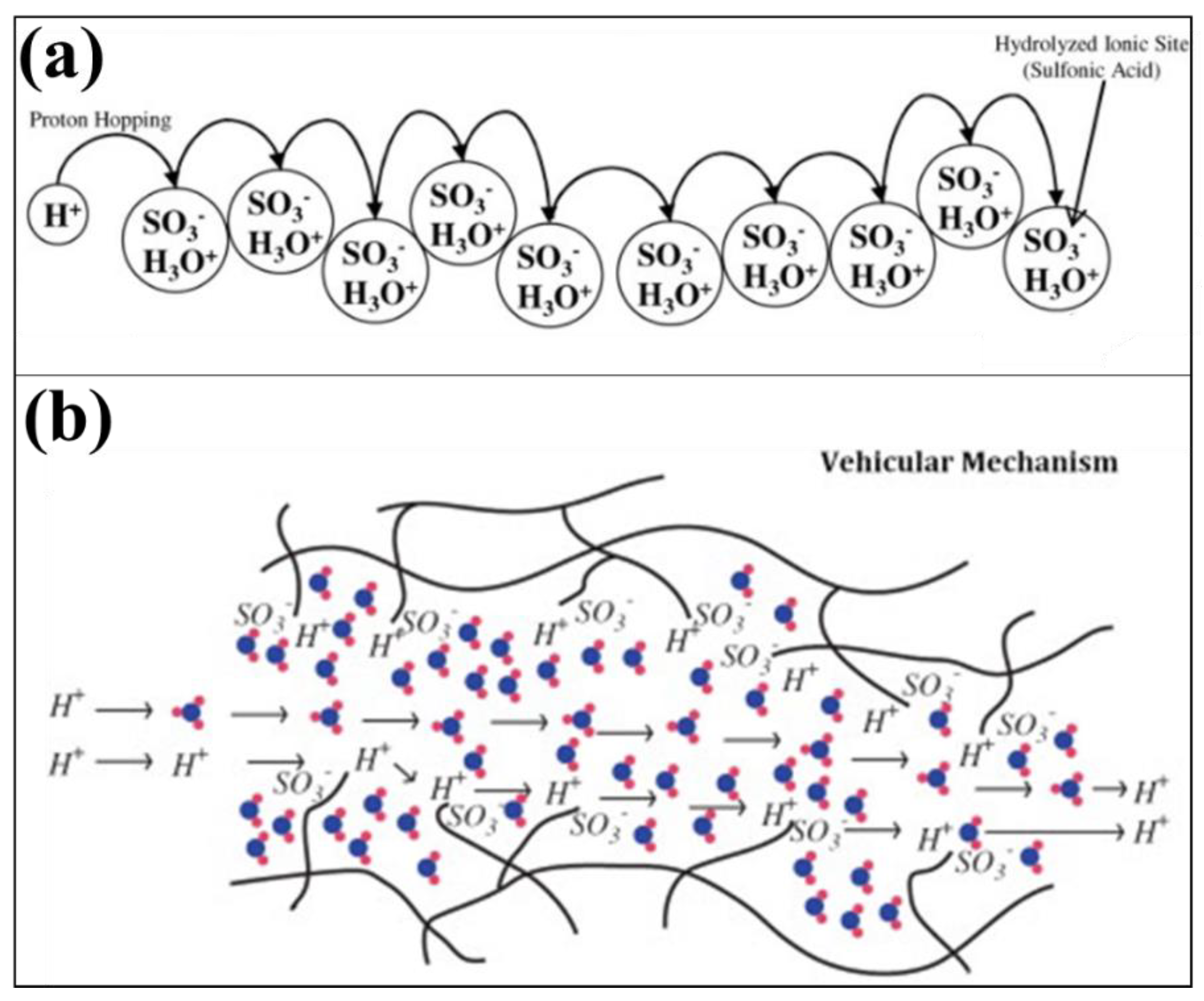 Membranes 13 00817 g003 Membranes 13 00817 g003