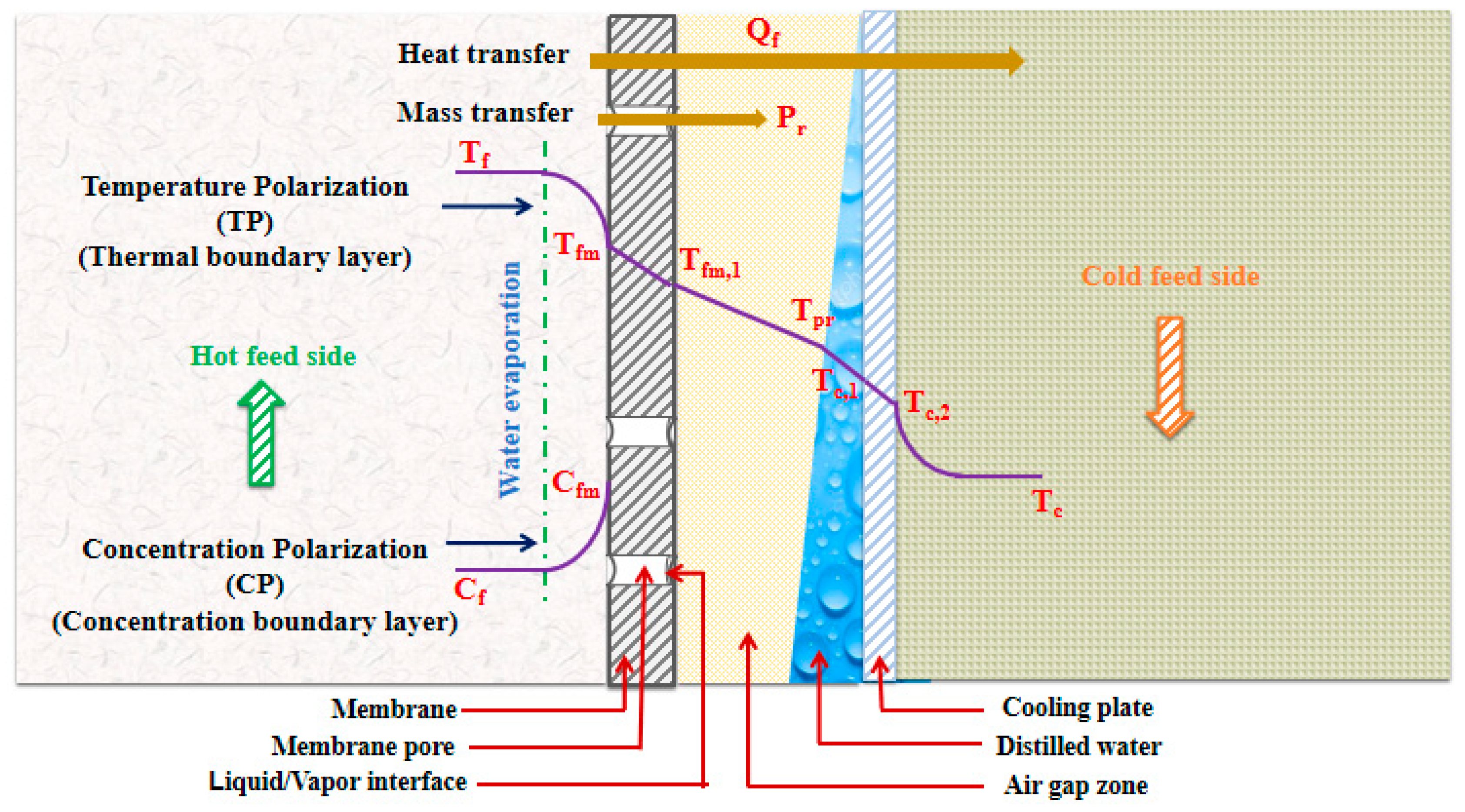 Membranes 13 00821 g001