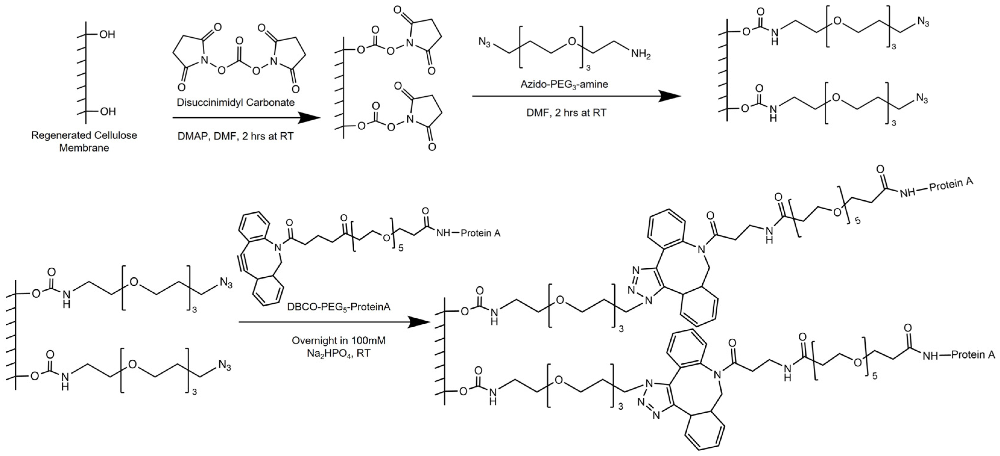 Membranes 13 00824 sch001