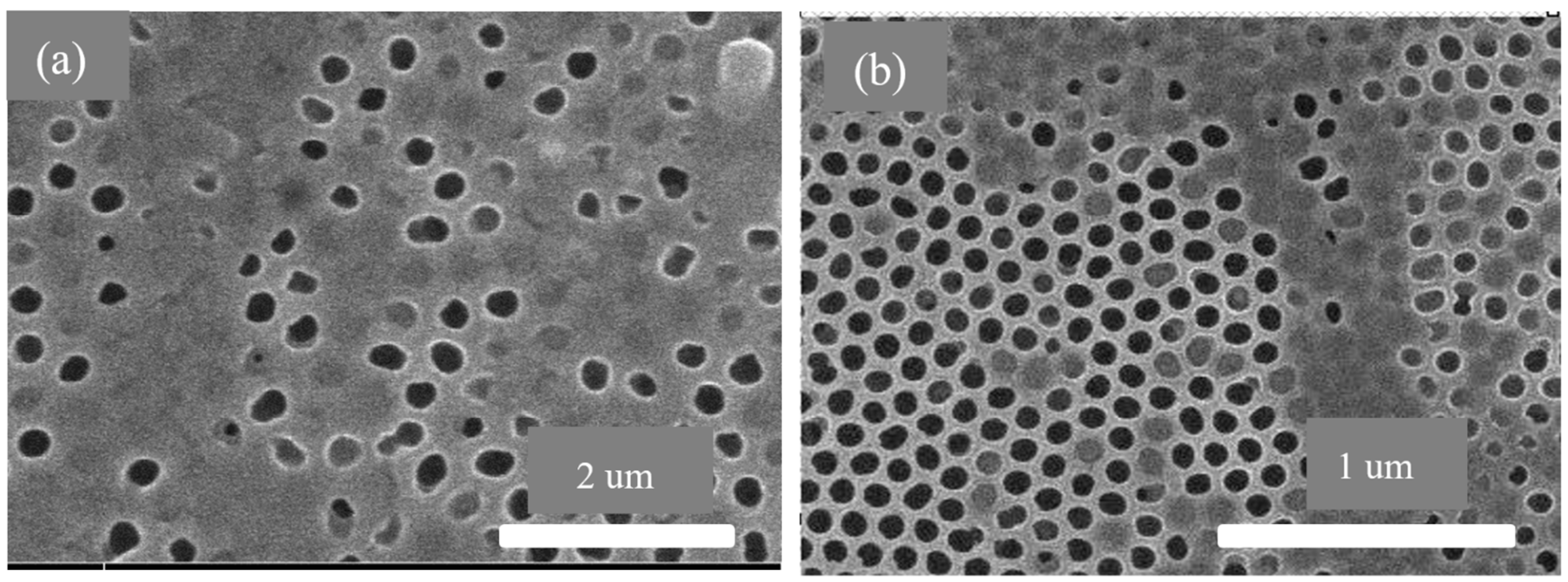 Membranes 13 00825 g012