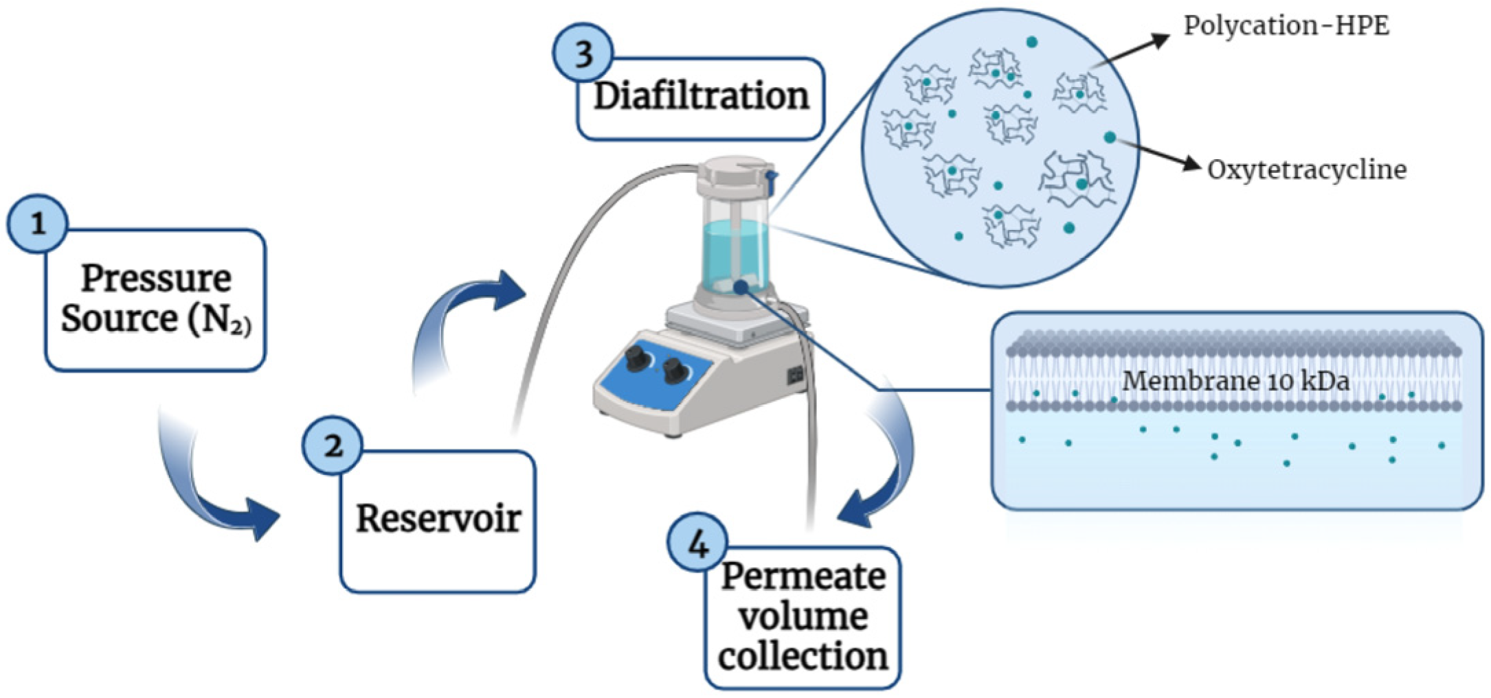 Membranes 13 00828 g001