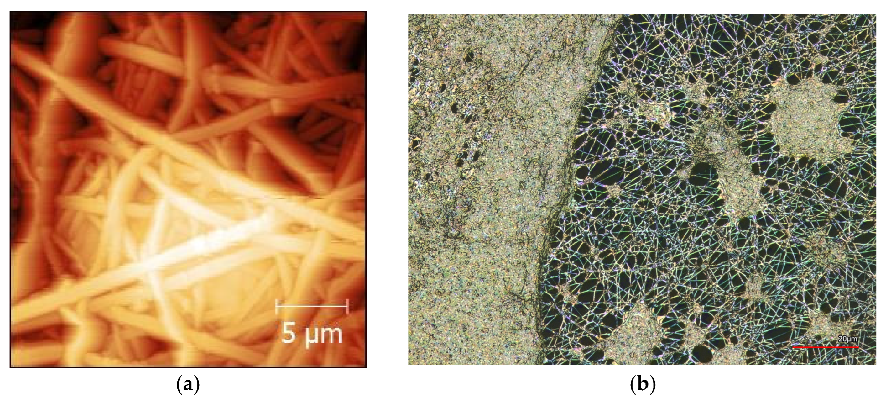 Membranes 13 00830 g002