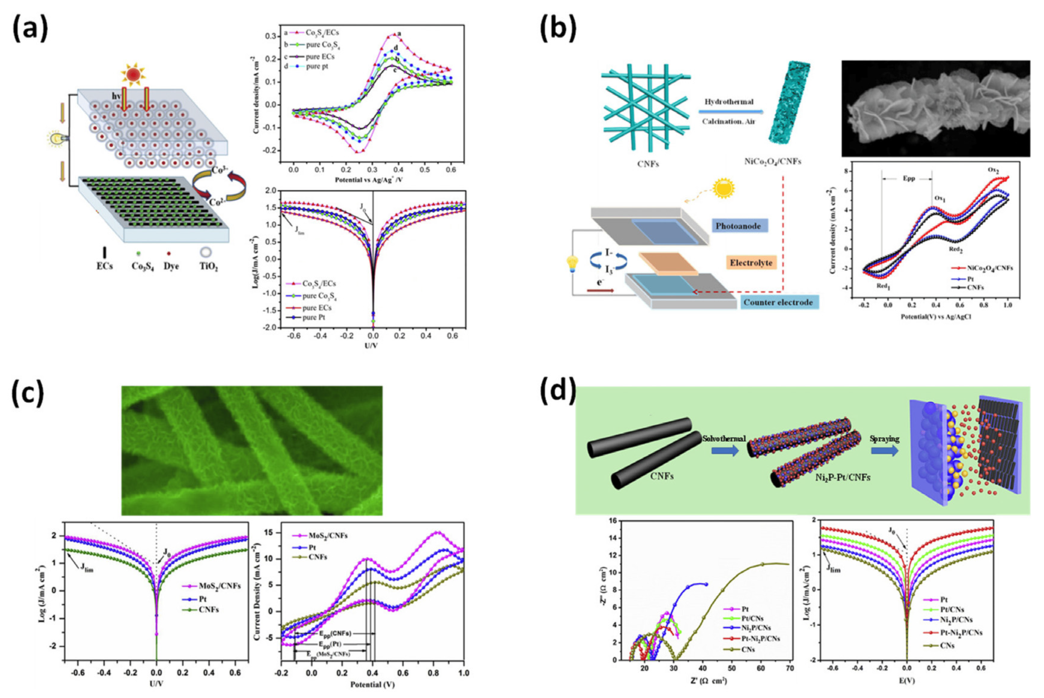 Membranes 13 00830 g006