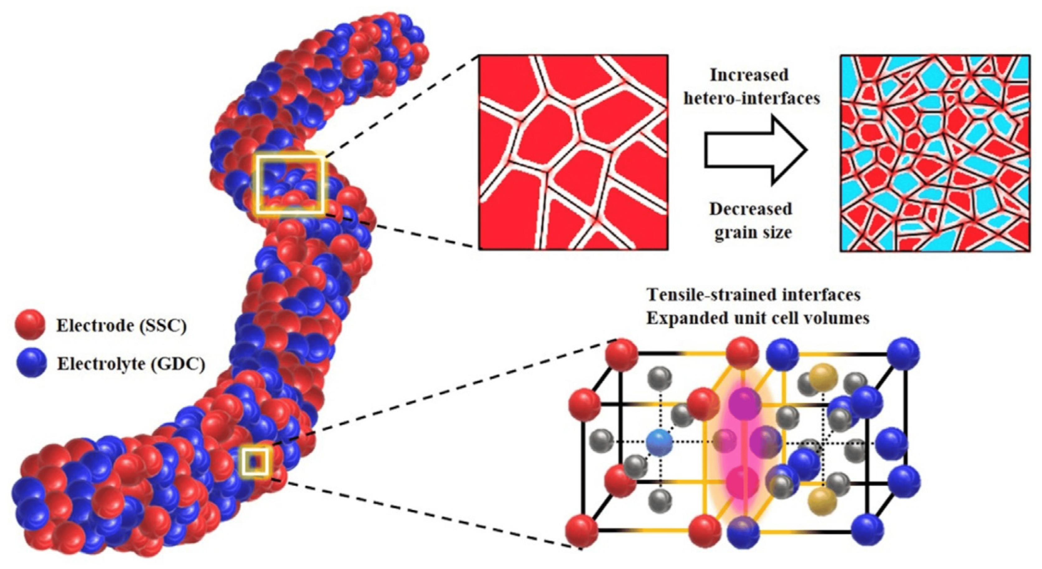 Membranes 13 00830 g007