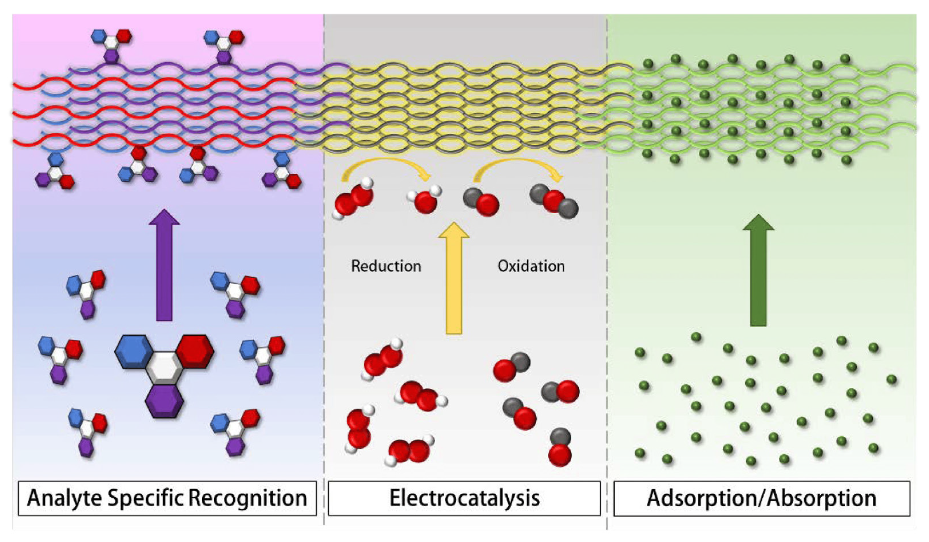 Membranes 13 00830 g008