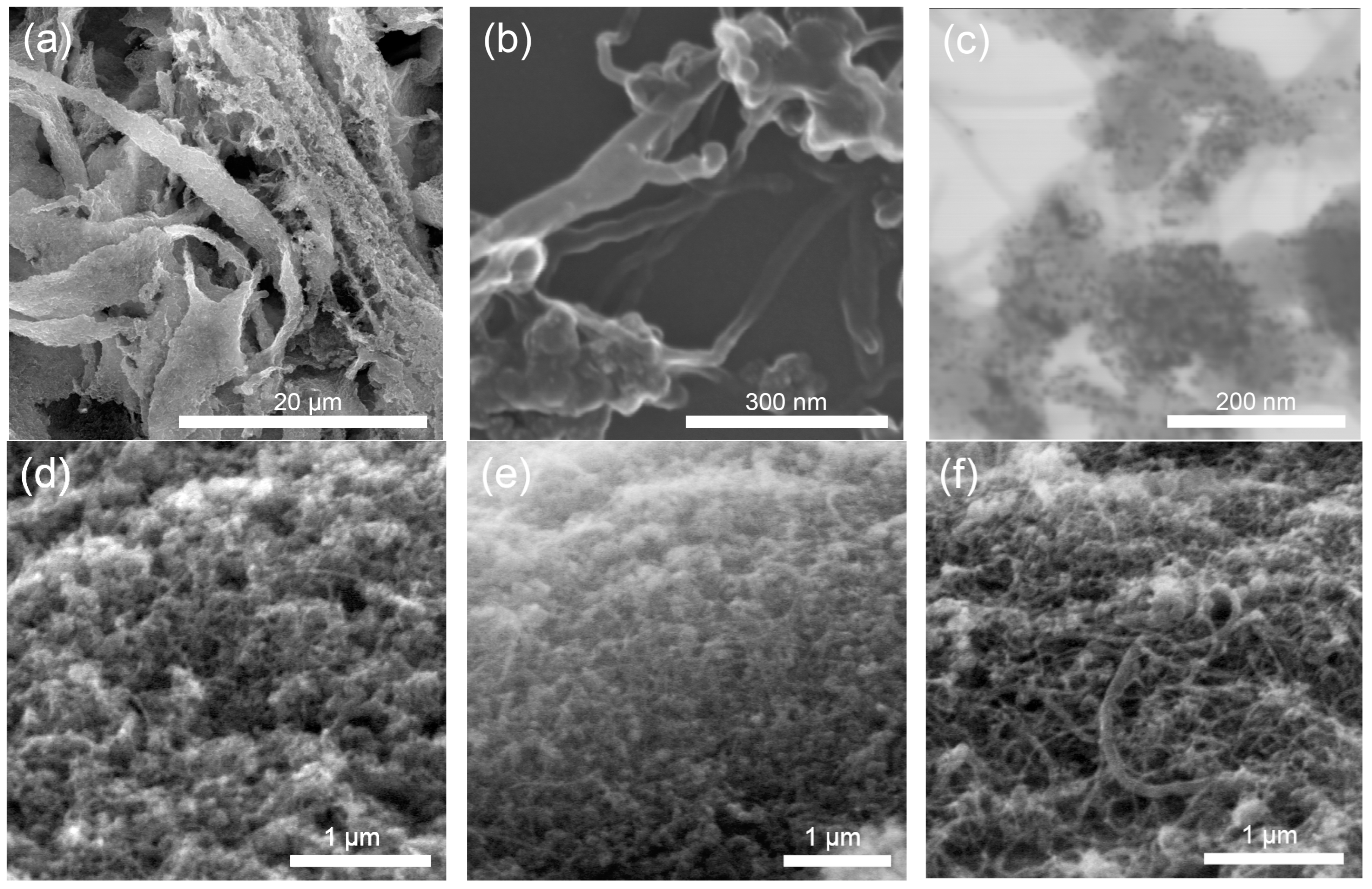 Membranes 13 00832 g001