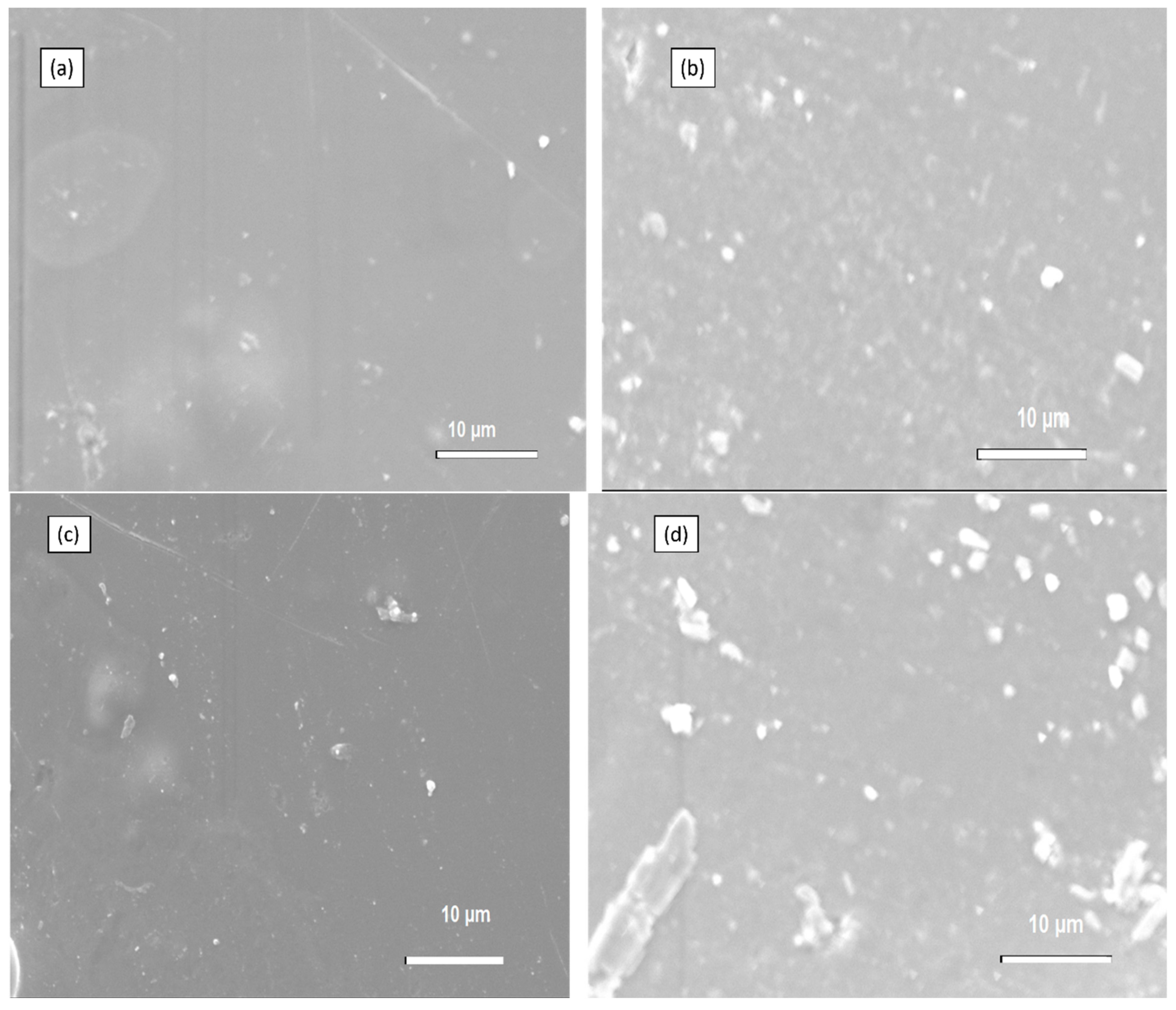 Membranes 13 00838 g006