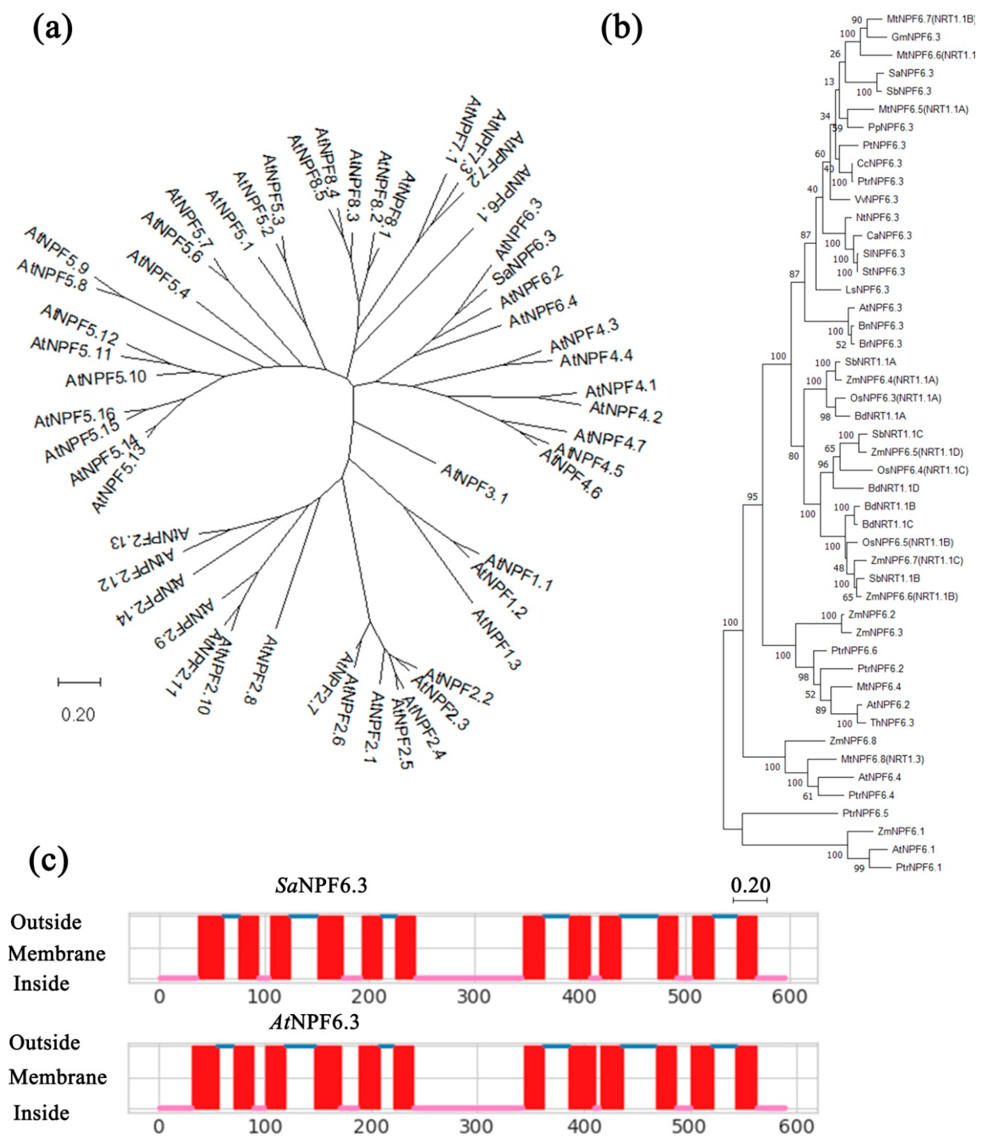 Membranes 13 00845 g001