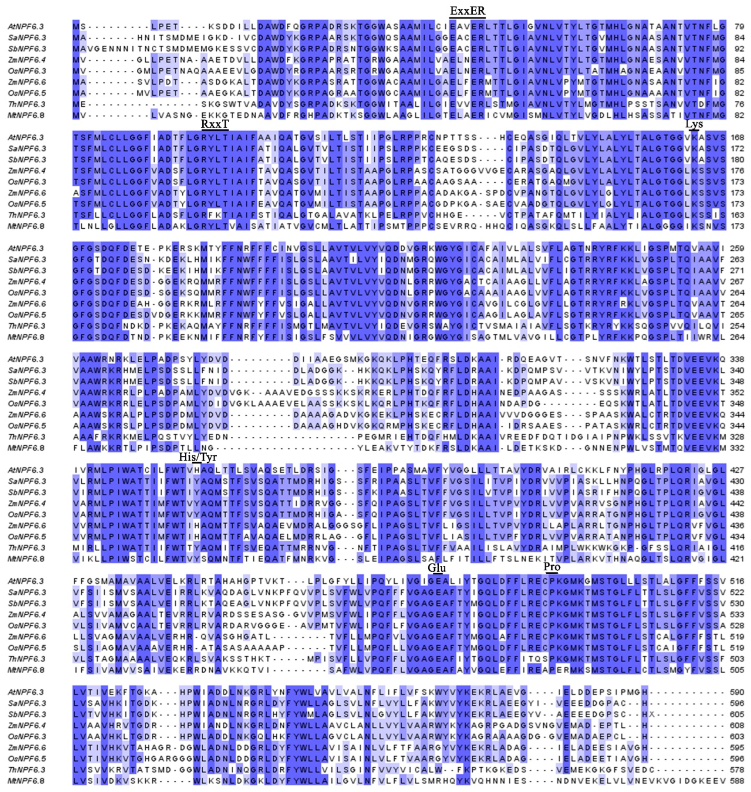Membranes 13 00845 g002