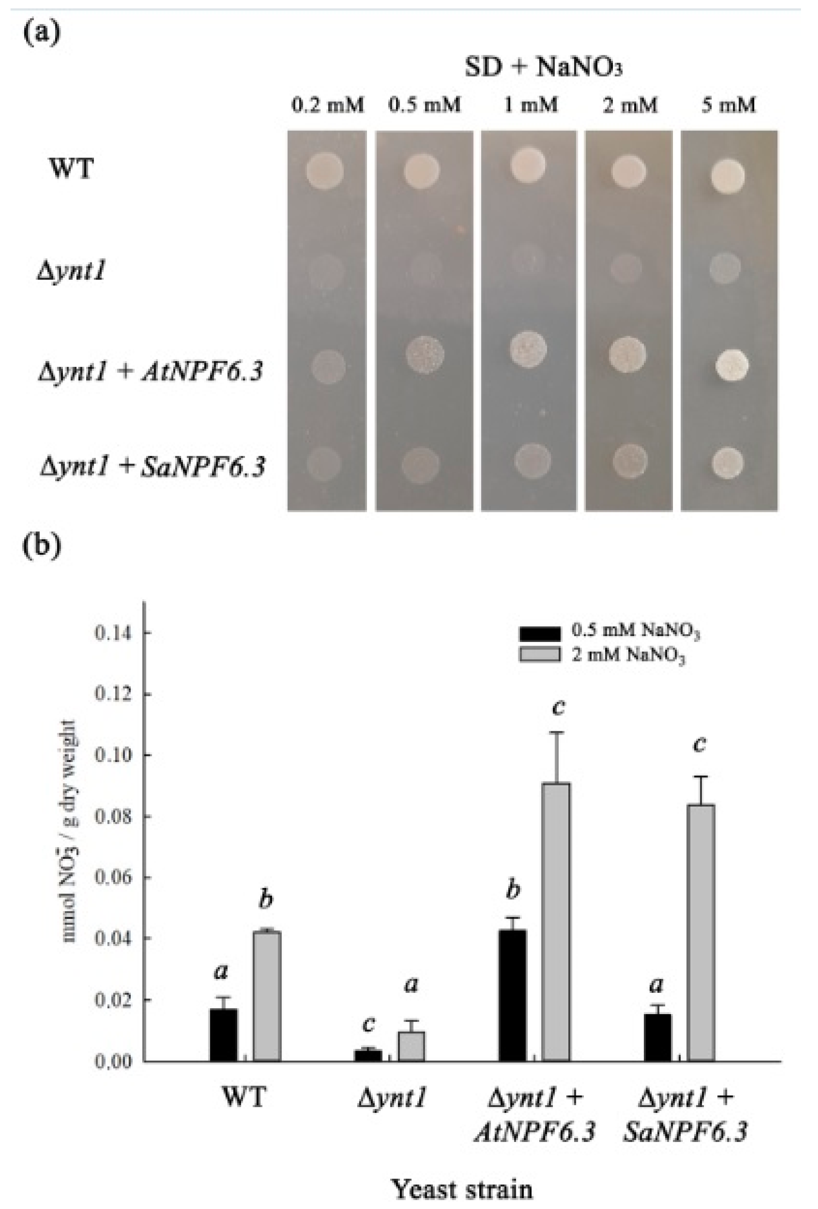 Membranes 13 00845 g003