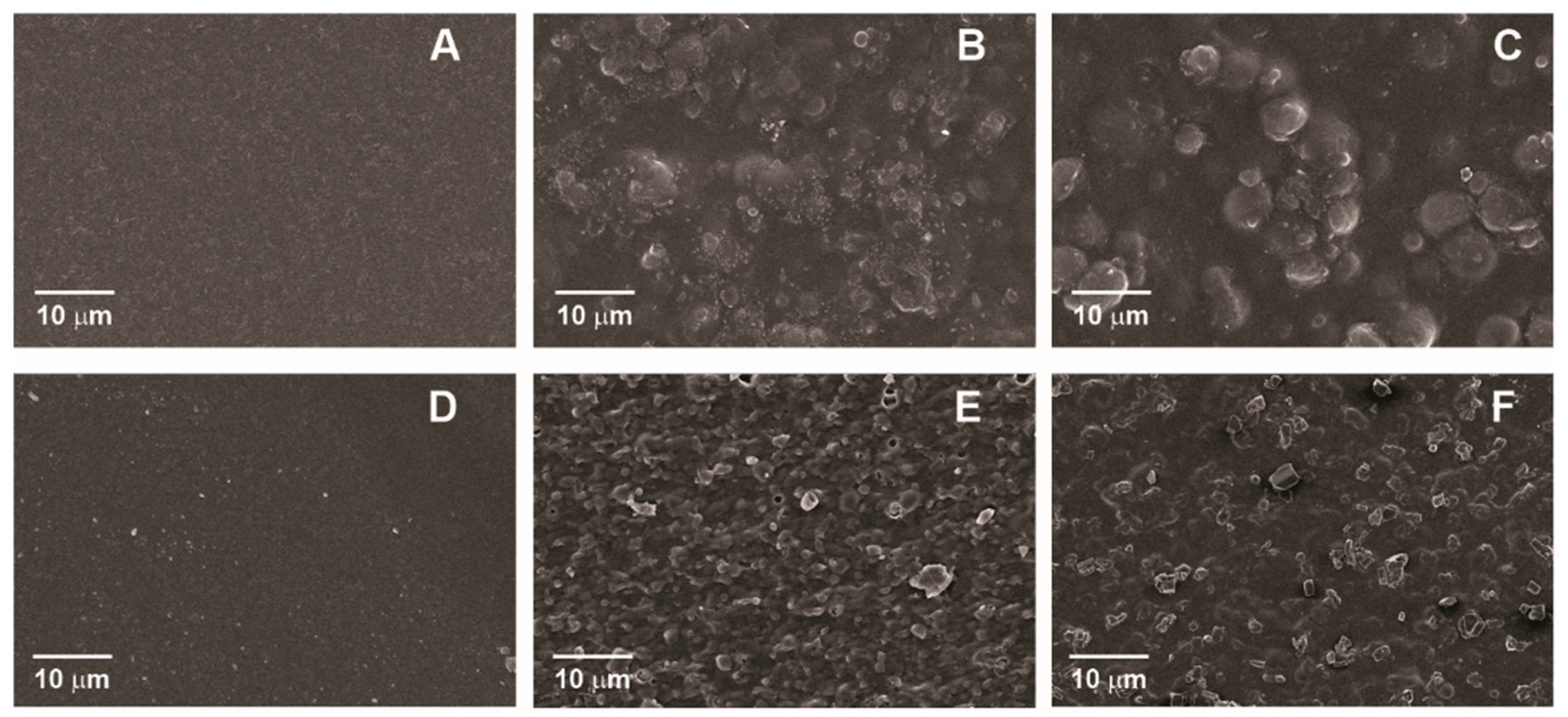 Membranes 13 00846 g001