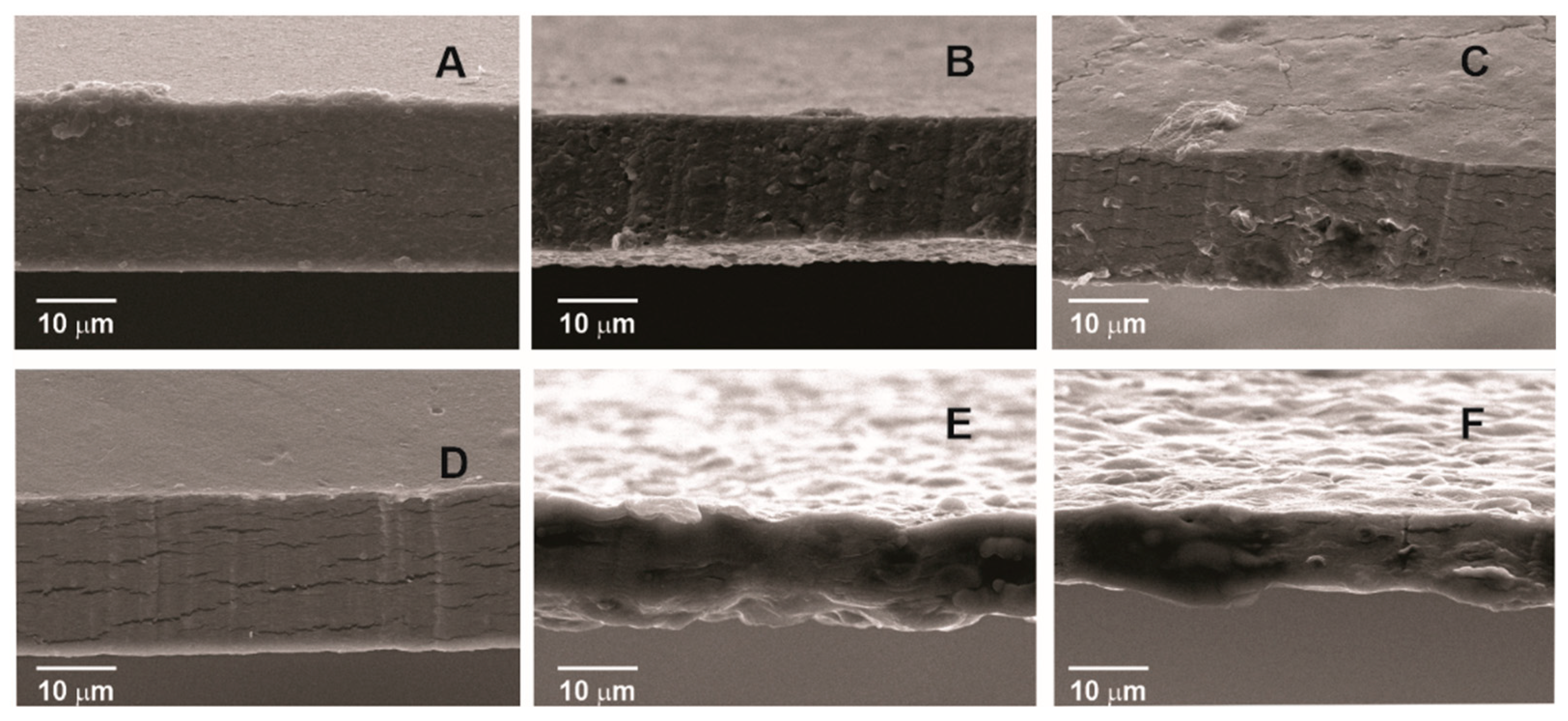 Membranes 13 00846 g002