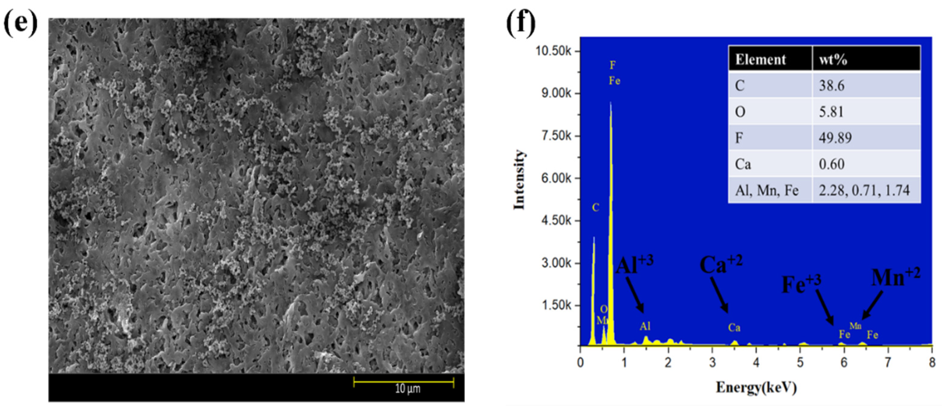 Membranes 13 00853 g006b