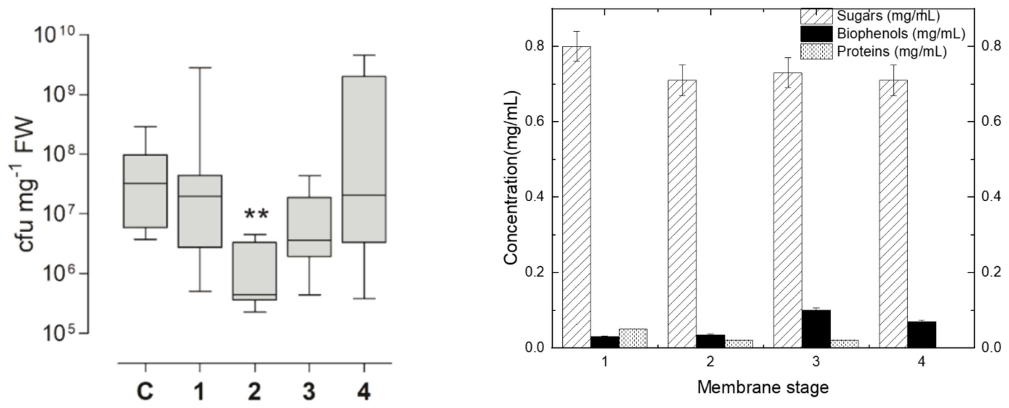 Membranes 13 00855 g005