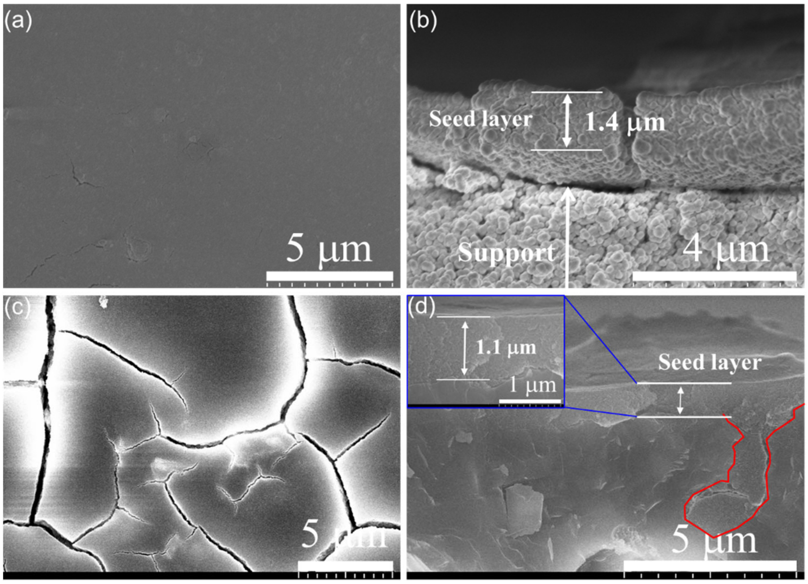 Membranes 13 00858 g003 Membranes 13 00858 g003