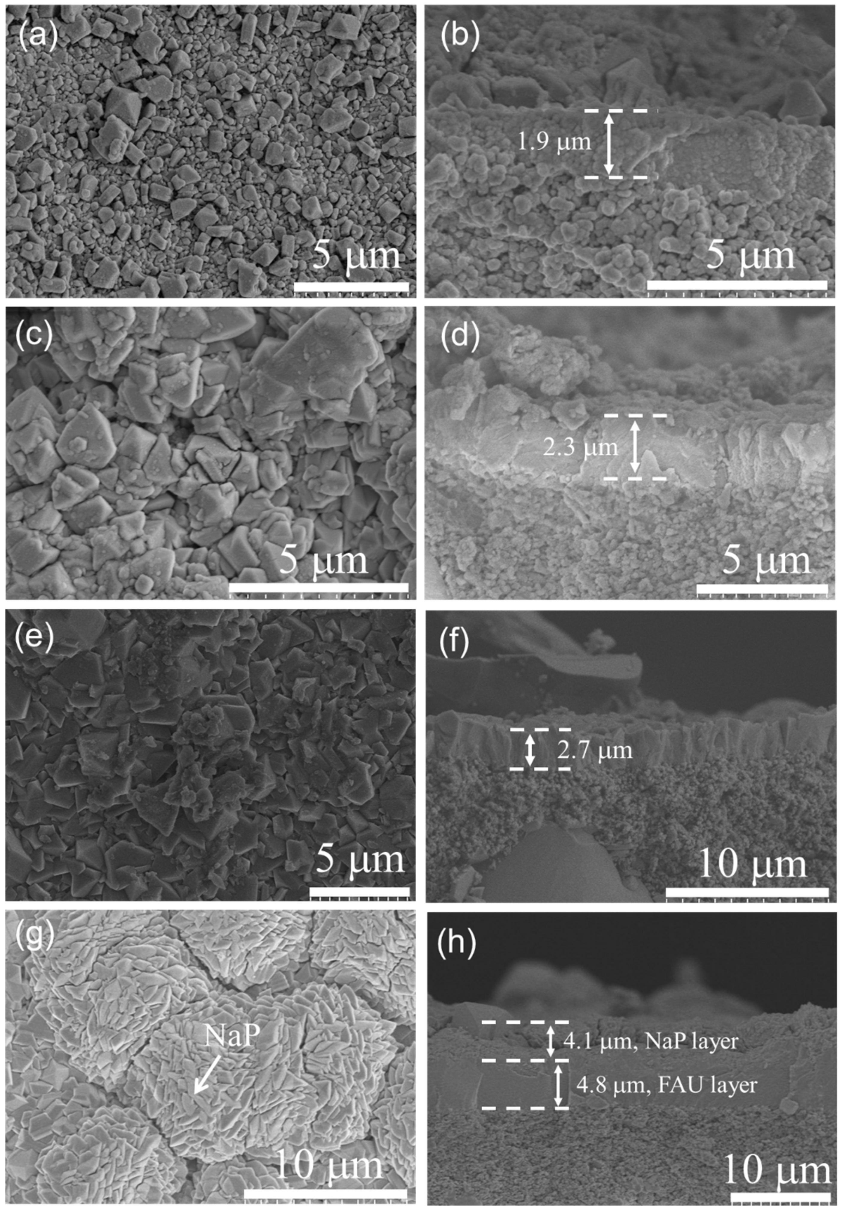 Membranes 13 00858 g005 Membranes 13 00858 g005
