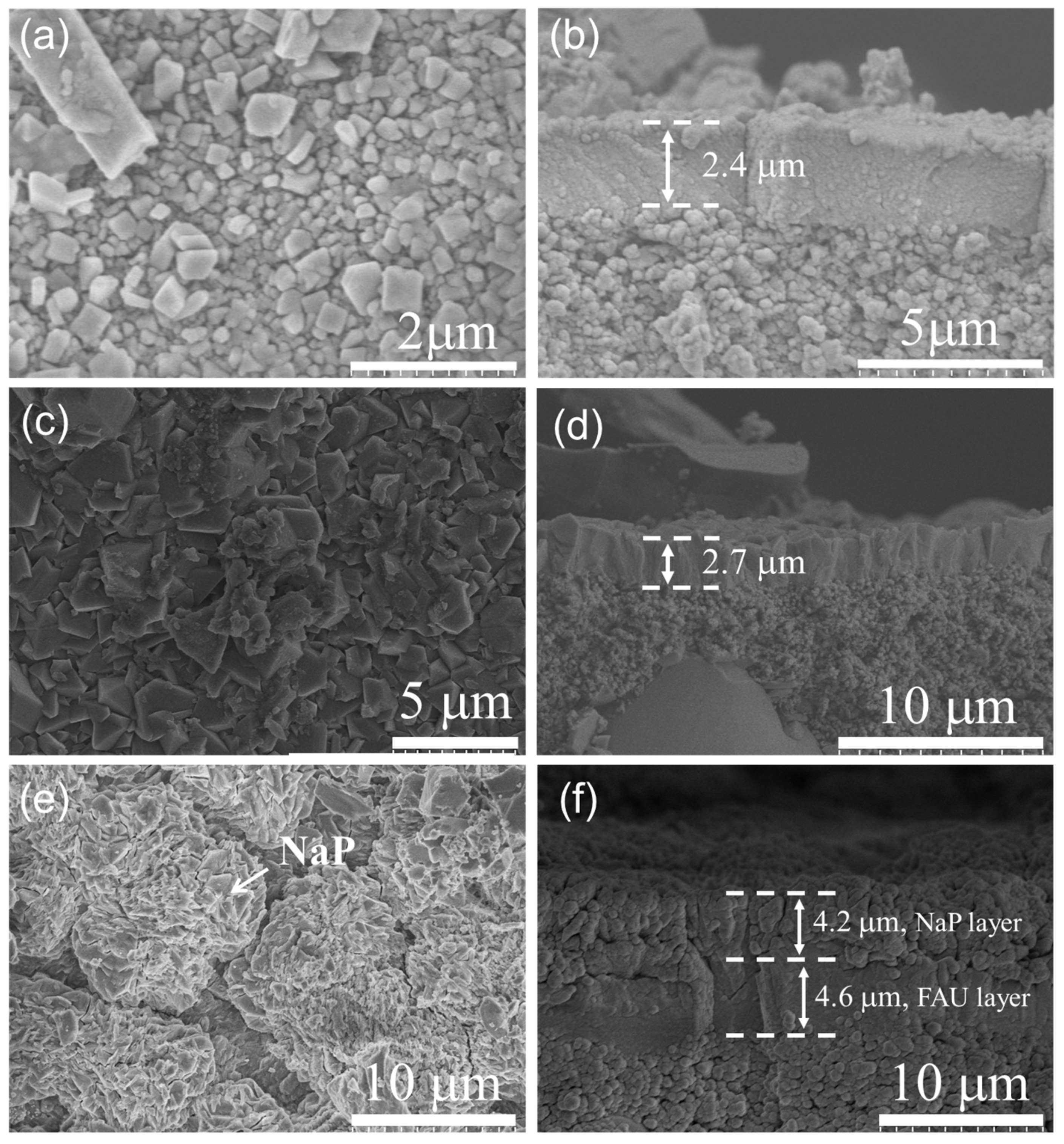 Membranes 13 00858 g007 Membranes 13 00858 g007
