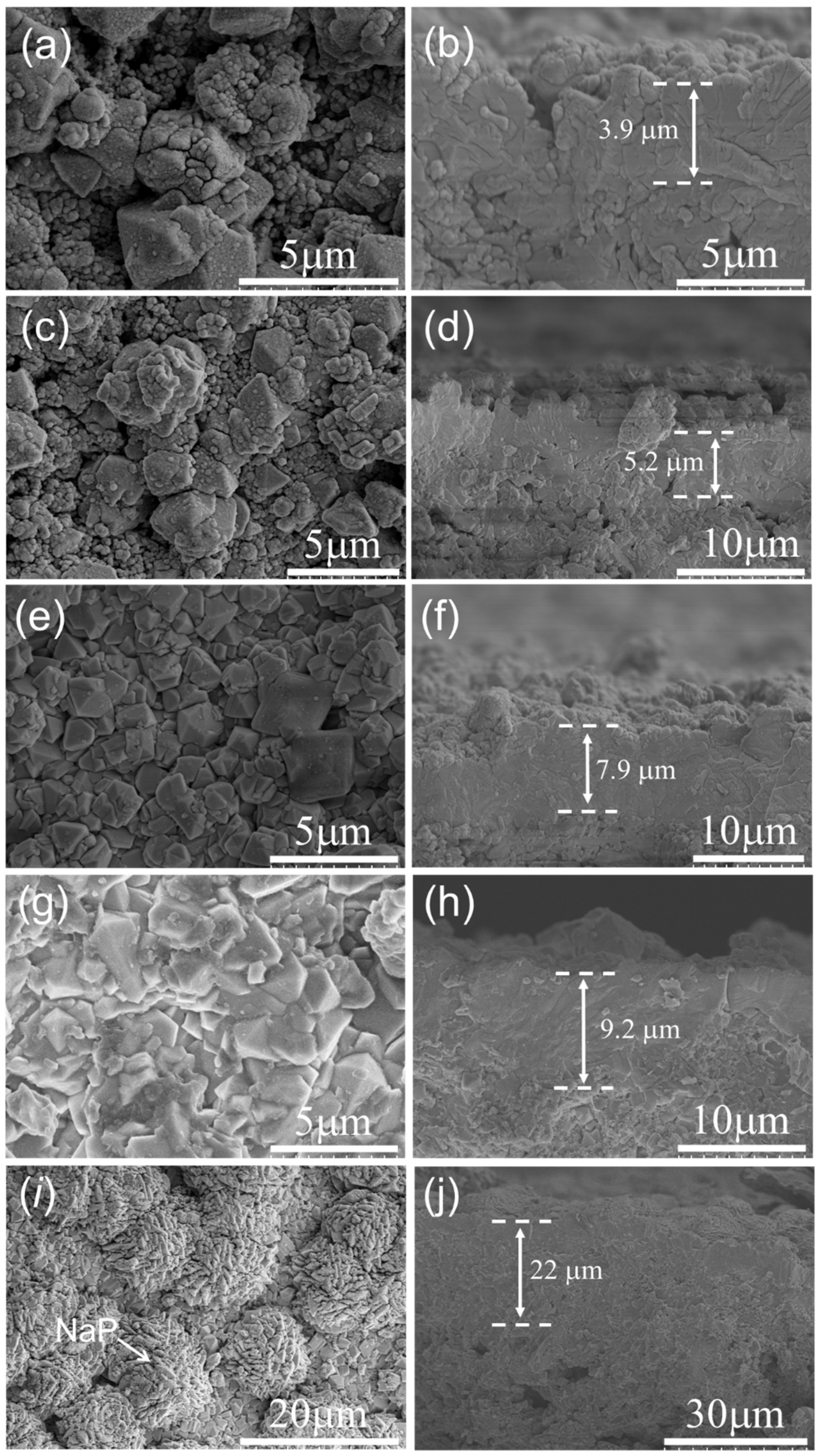 Membranes 13 00858 g009 Membranes 13 00858 g009