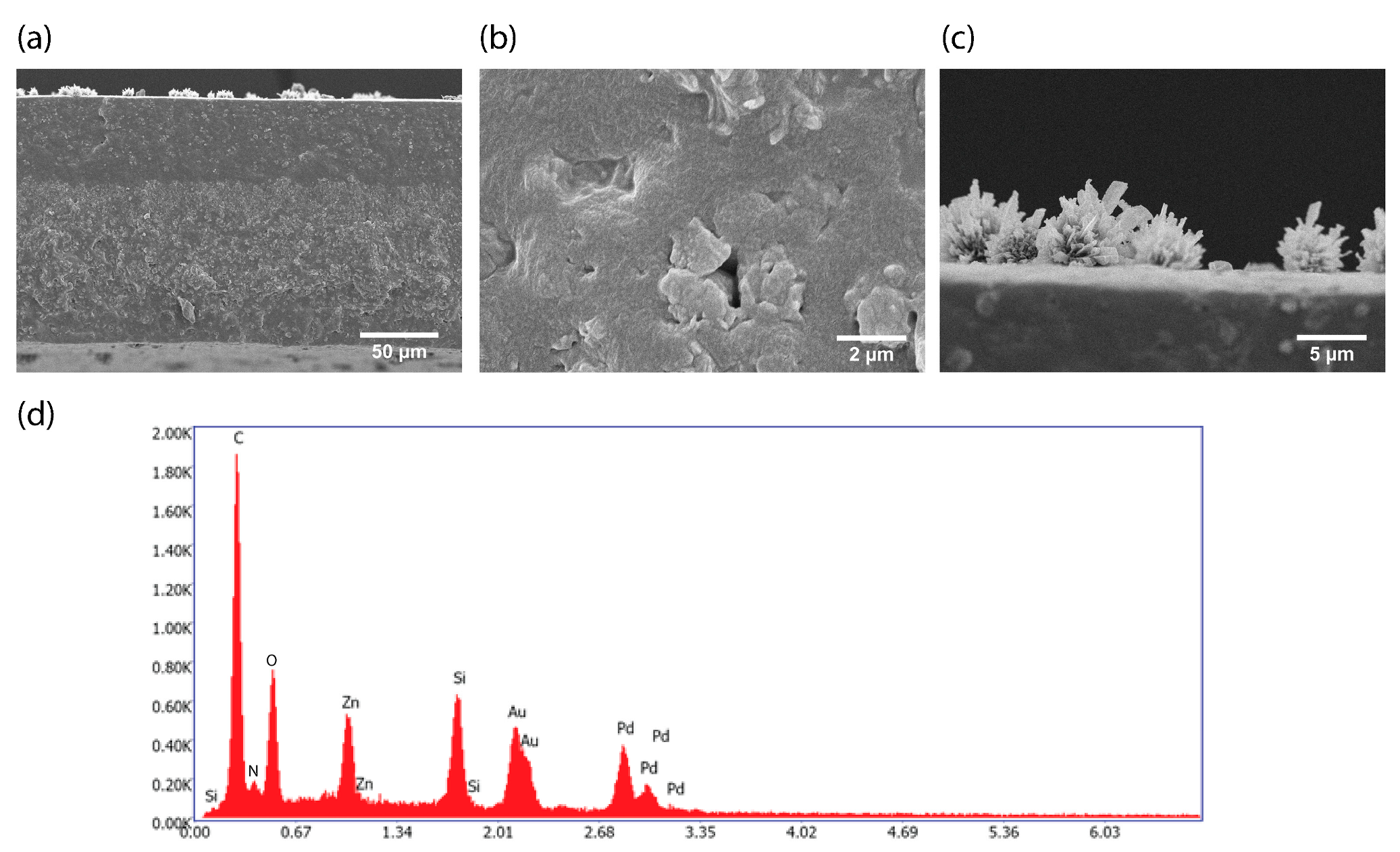 Membranes 13 00863 g003 Membranes 13 00863 g003