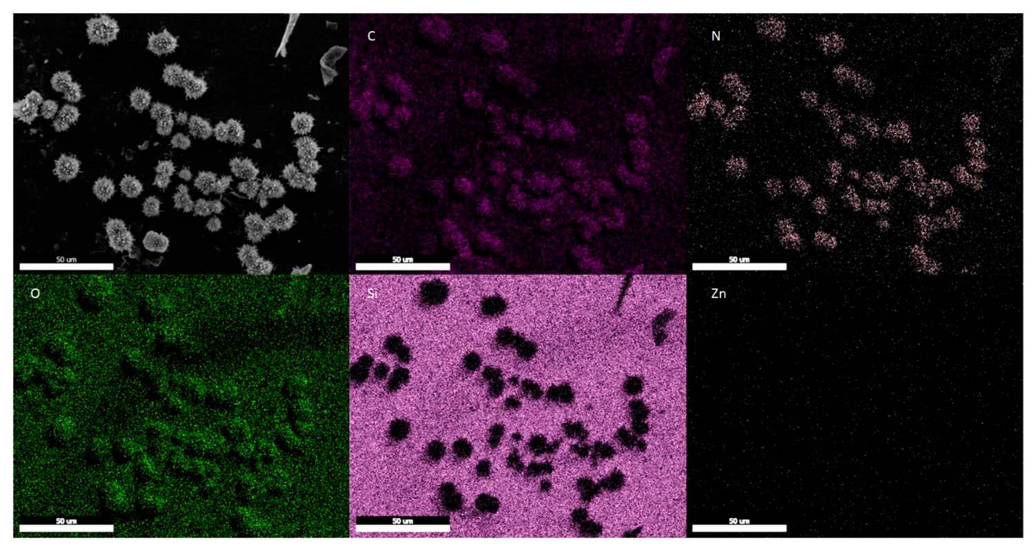 Membranes 13 00863 g004 Membranes 13 00863 g004