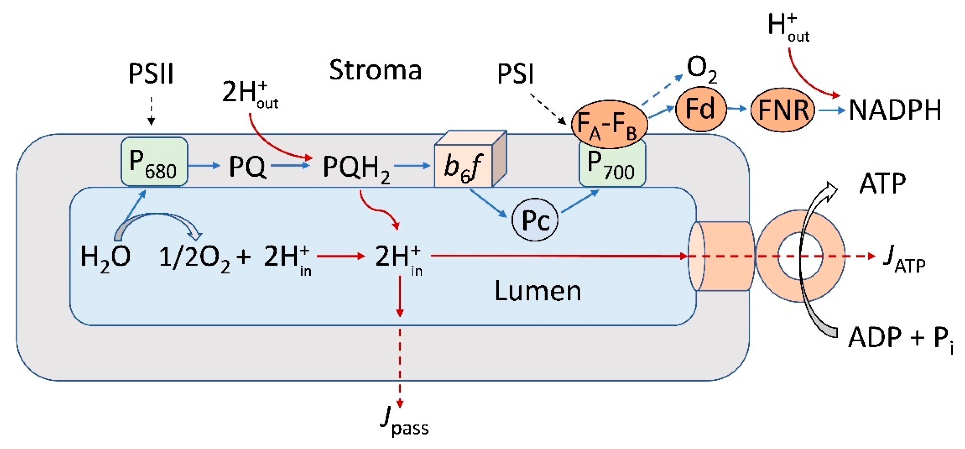 Membranes 13 00866 g001