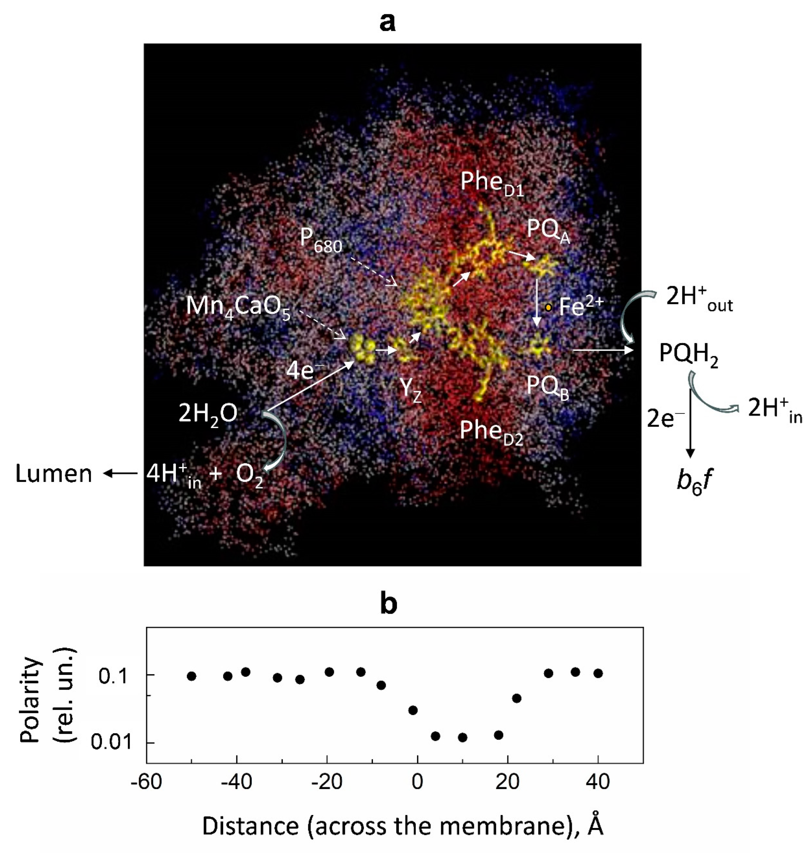 Membranes 13 00866 g007