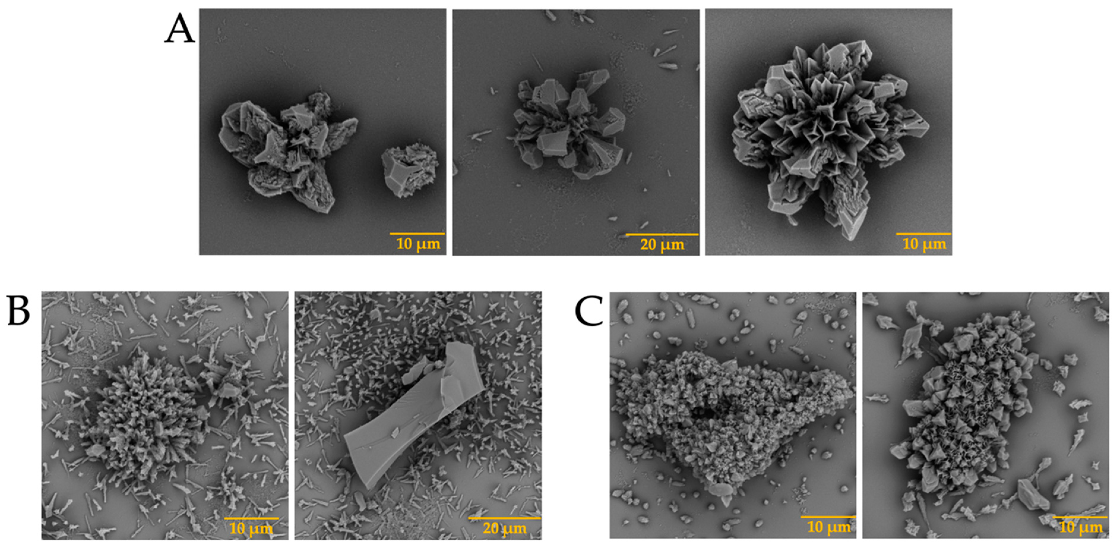 Membranes 13 00869 g003a