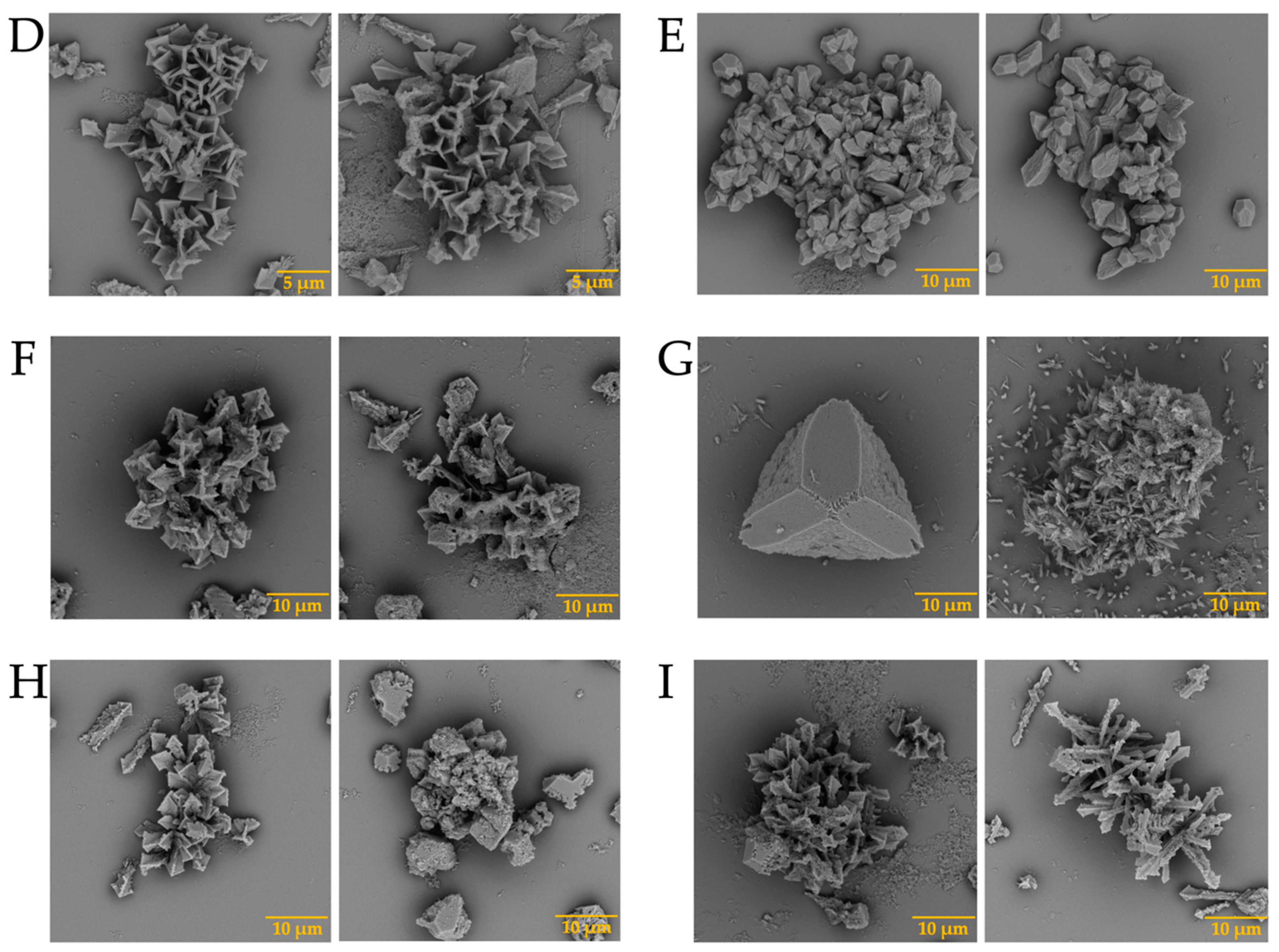 Membranes 13 00869 g003b