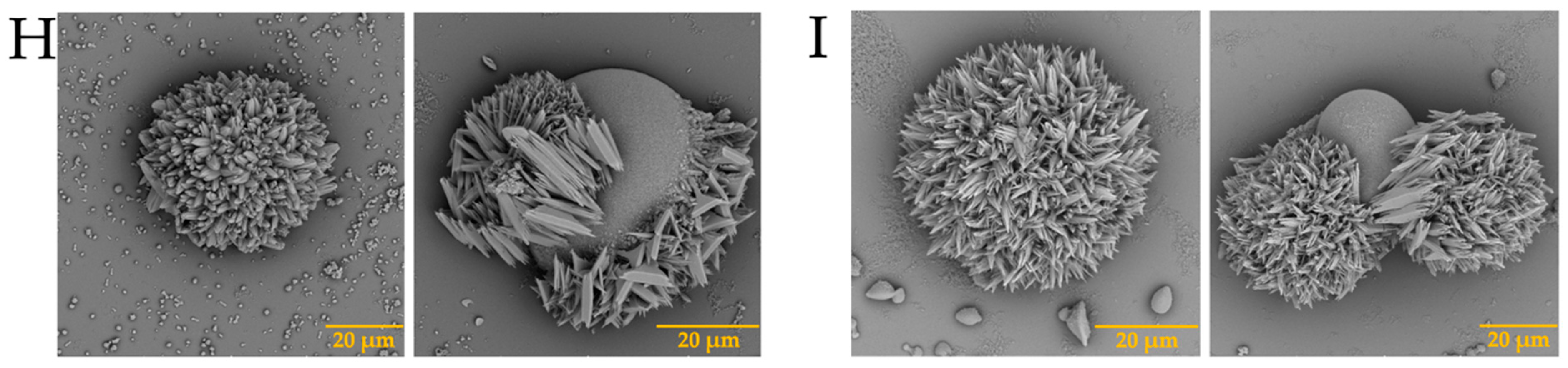 Membranes 13 00869 g005b