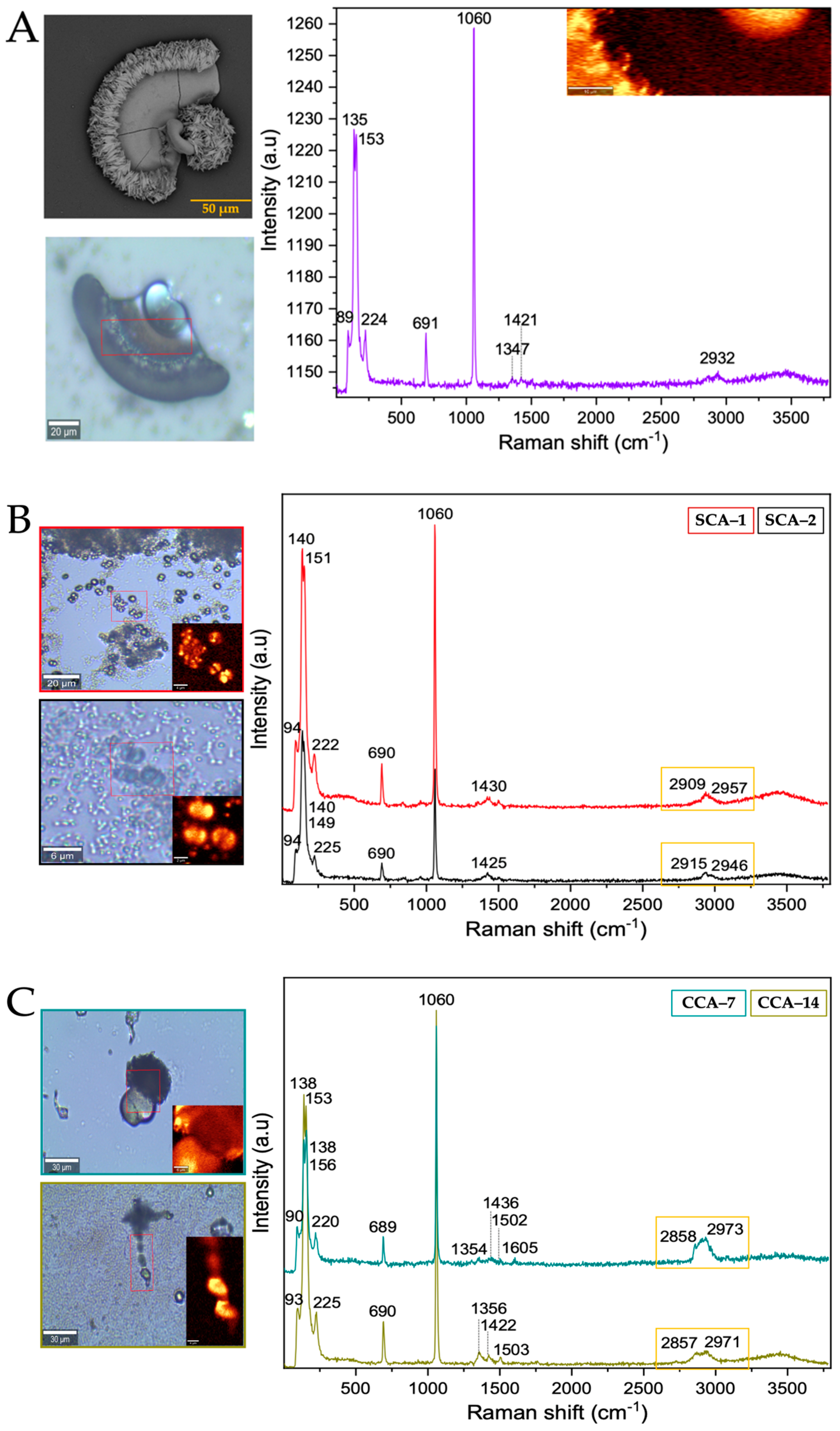 Membranes 13 00869 g006