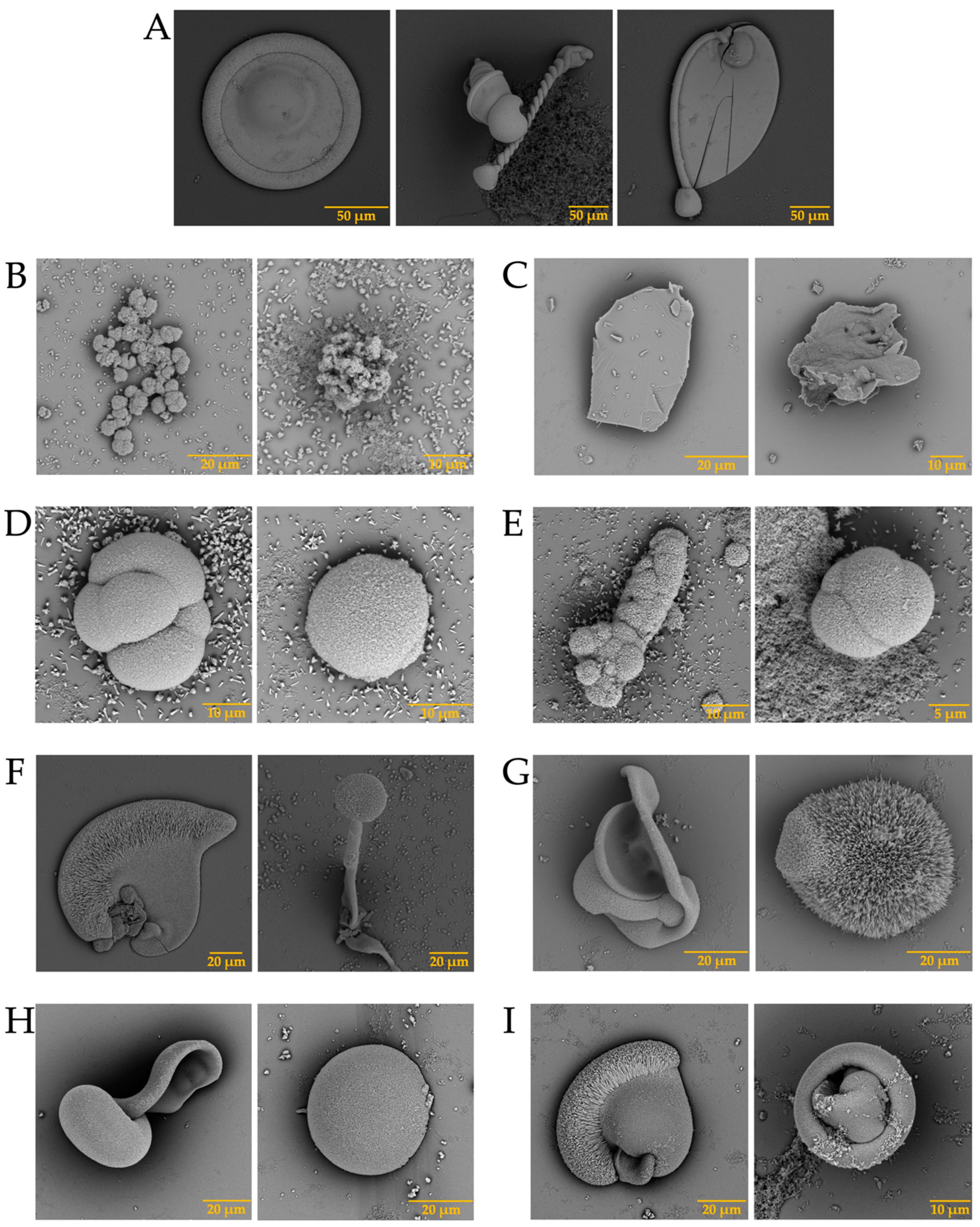 Membranes 13 00869 g007