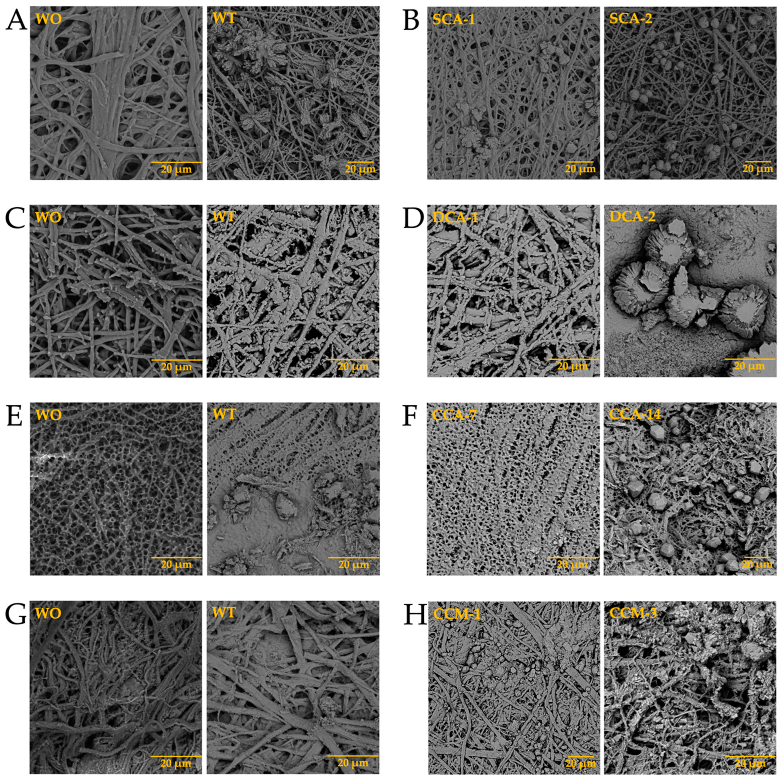 Membranes 13 00869 g010
