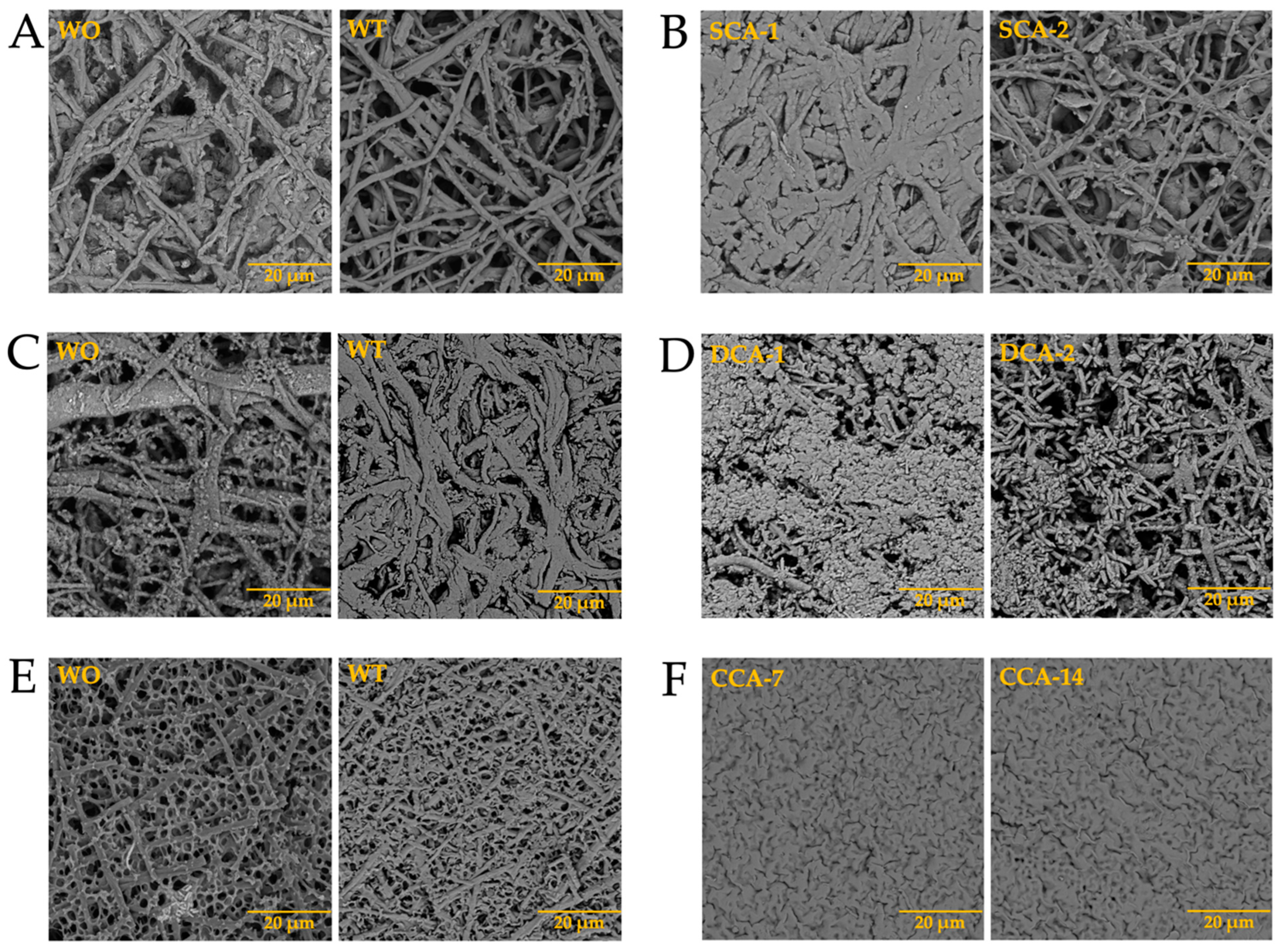 Membranes 13 00869 g012a