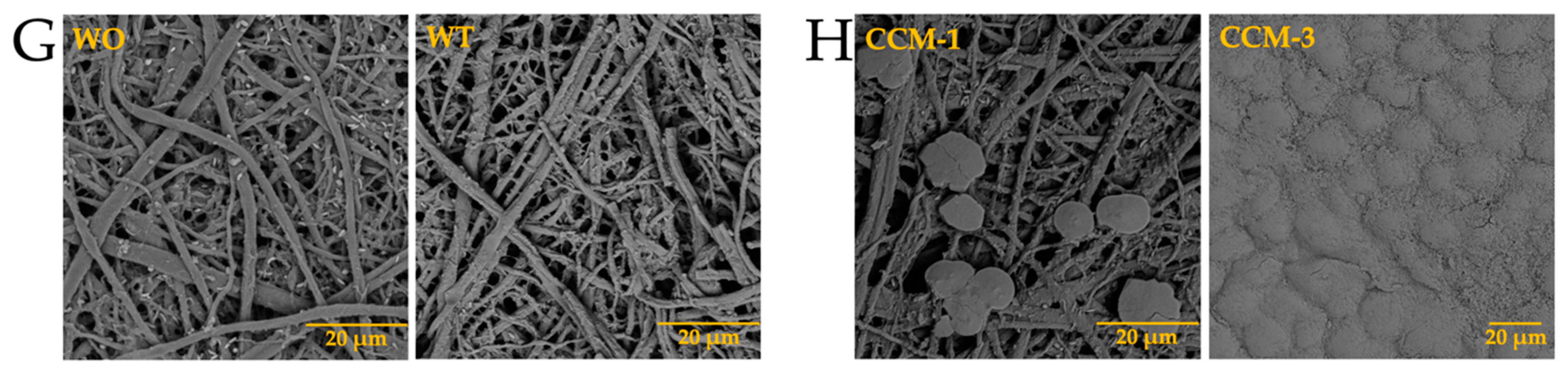 Membranes 13 00869 g012b