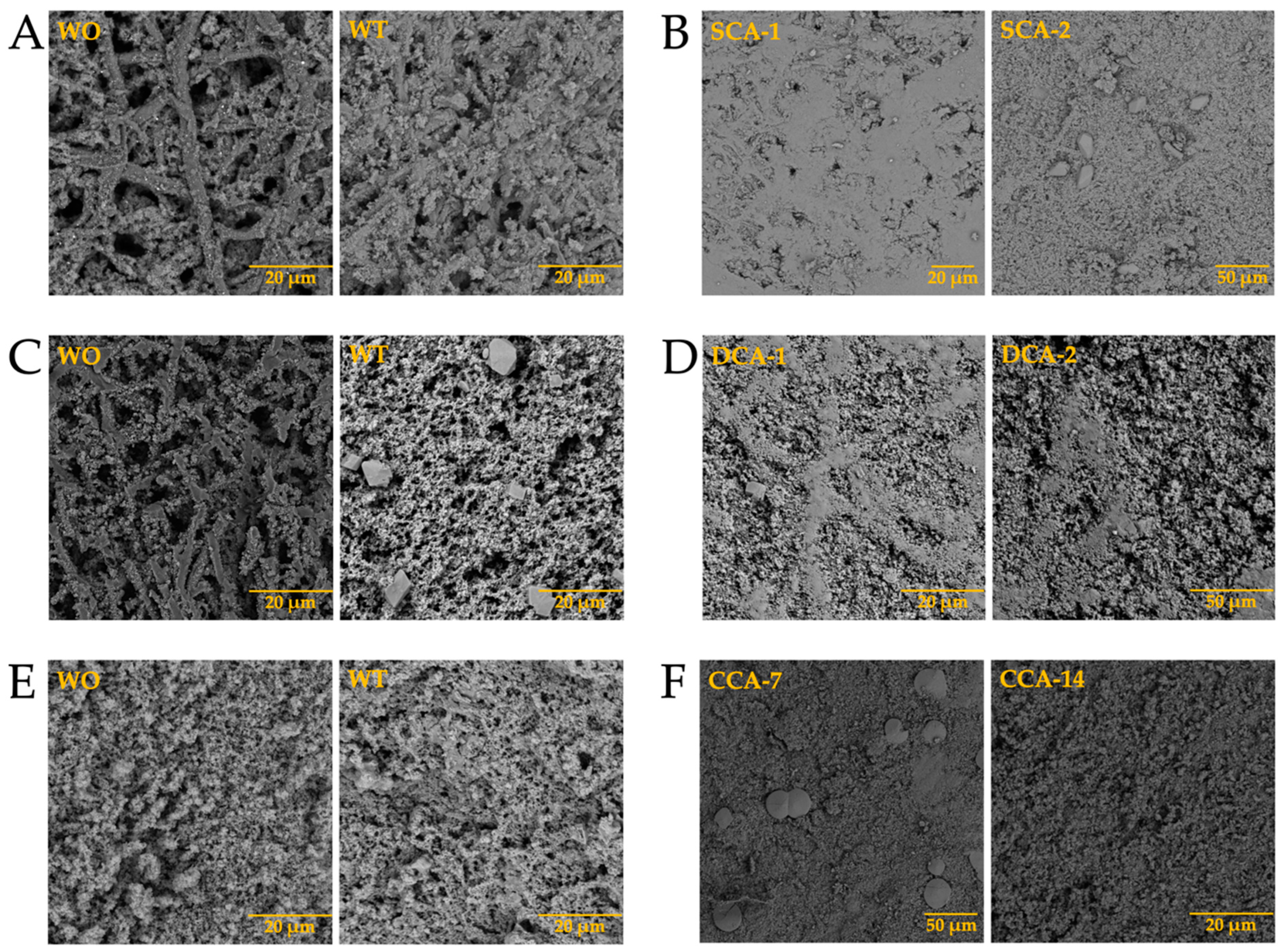 Membranes 13 00869 g014a